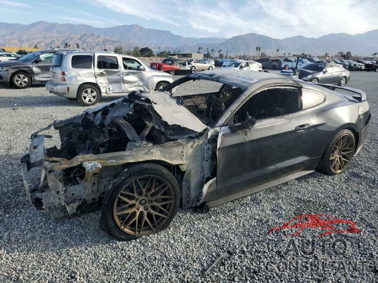 FORD ALL Models 2019 - 1FA6P8TH3K5176753