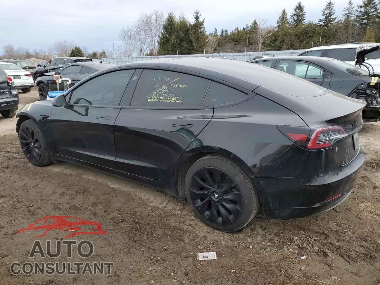 TESLA MODEL 3 2021 - 5YJ3E1EA1MF083161