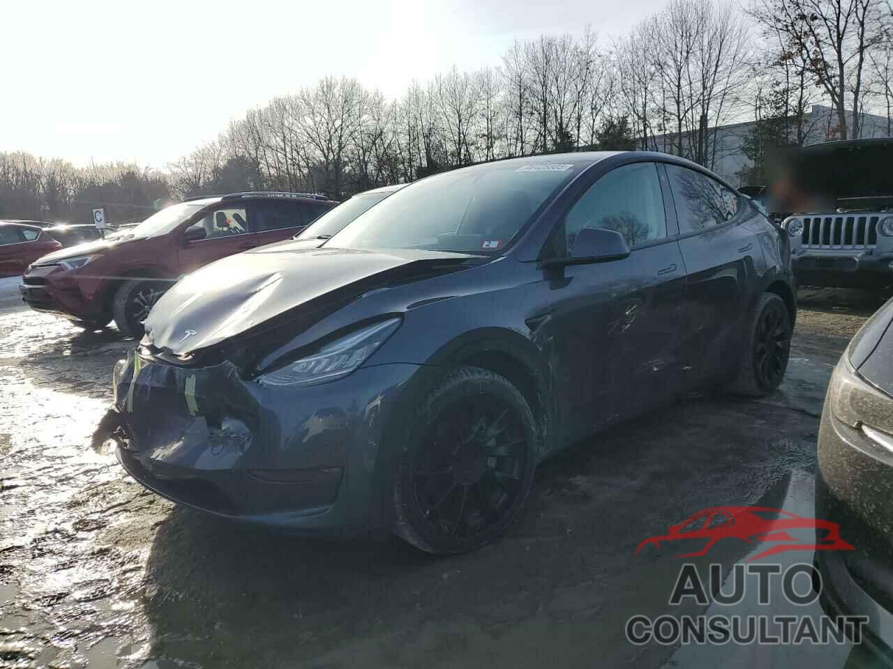 TESLA MODEL Y 2022 - 7SAYGDEE7NF434003