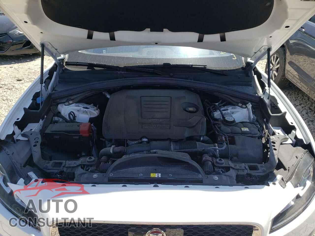 JAGUAR F-PACE 2020 - SADCK2FX9LA618606