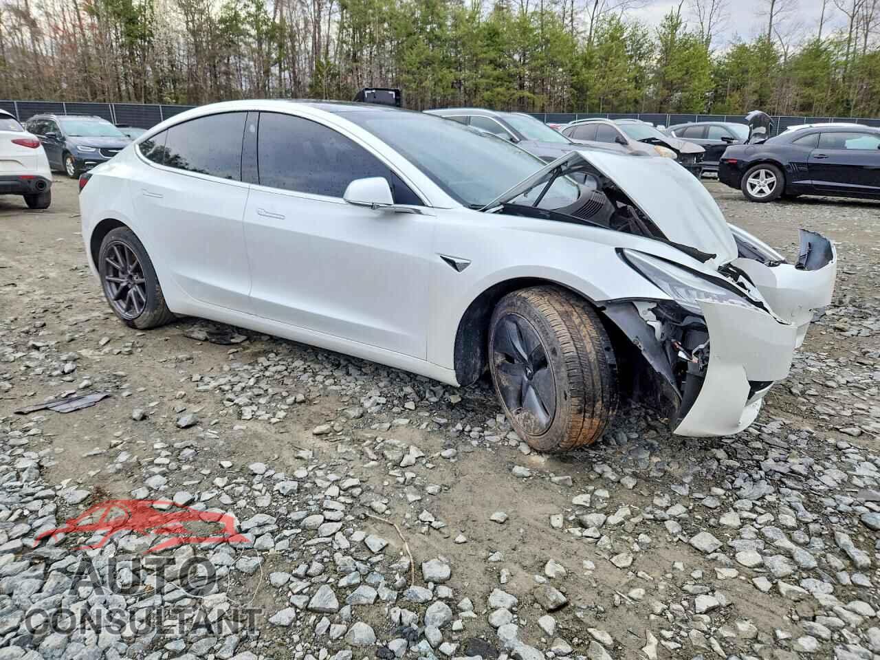 TESLA MODEL 3 2019 - 5YJ3E1EB2KF494008