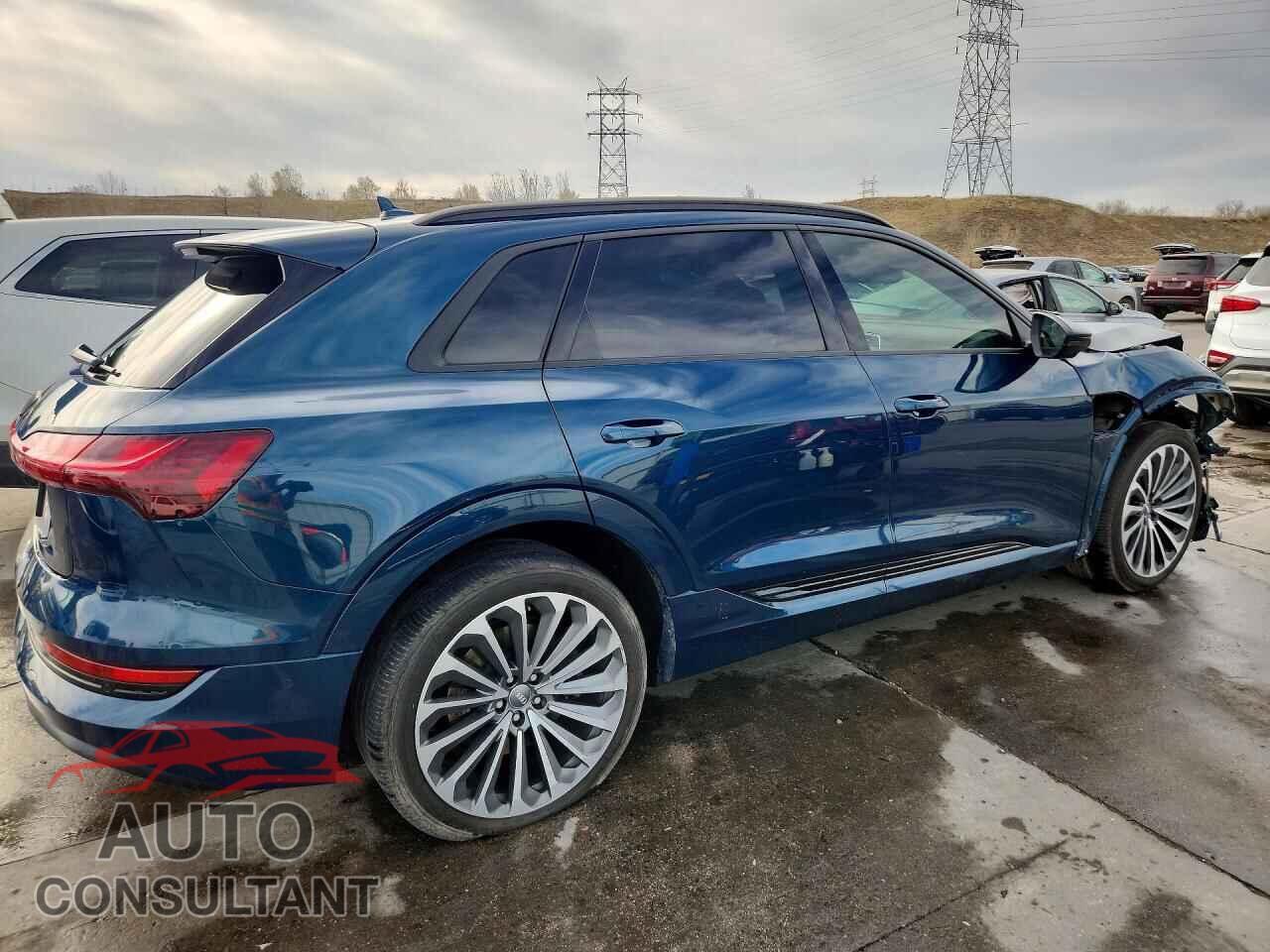 AUDI E-TRON 2019 - WA1VABGE3KB021877