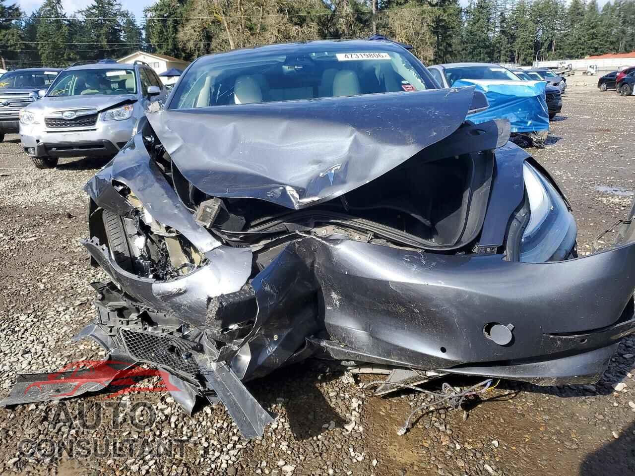 TESLA MODEL 3 2019 - 5YJ3E1EB2KF367355