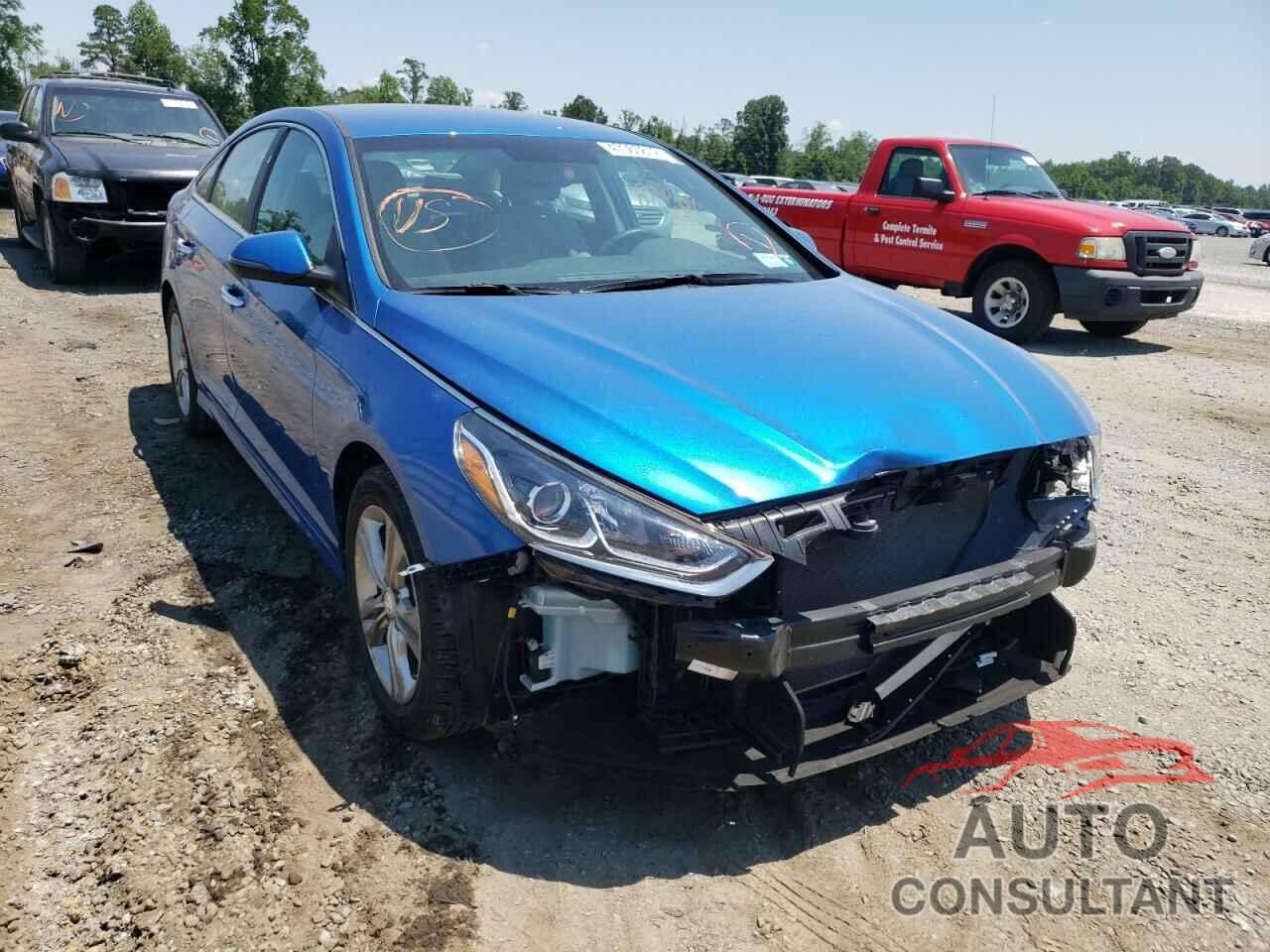 HYUNDAI SONATA 2019 - 5NPE34AF0KH748261