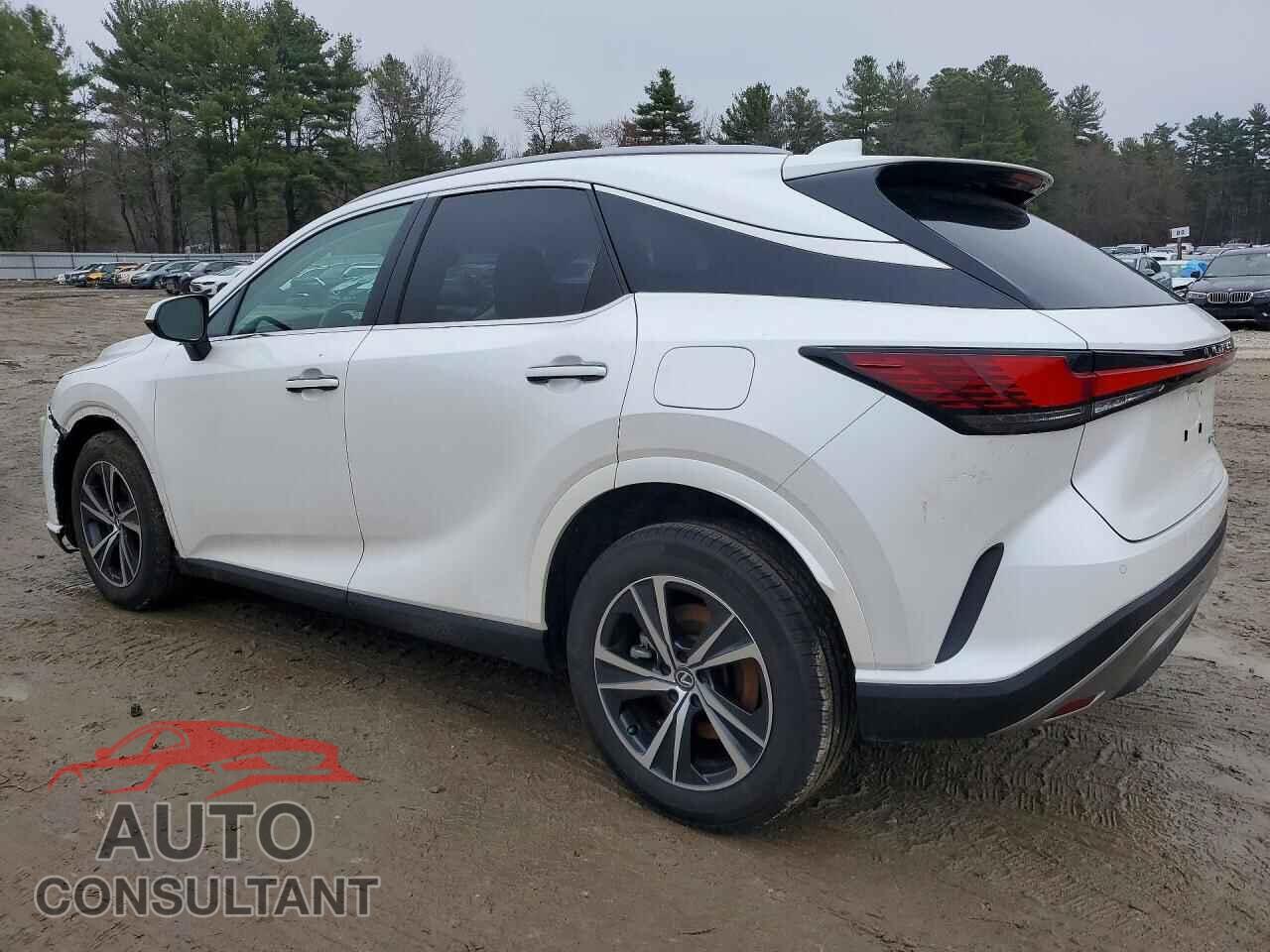 LEXUS UNKNOWN 2024 - 2T2BBMCA3RC030459