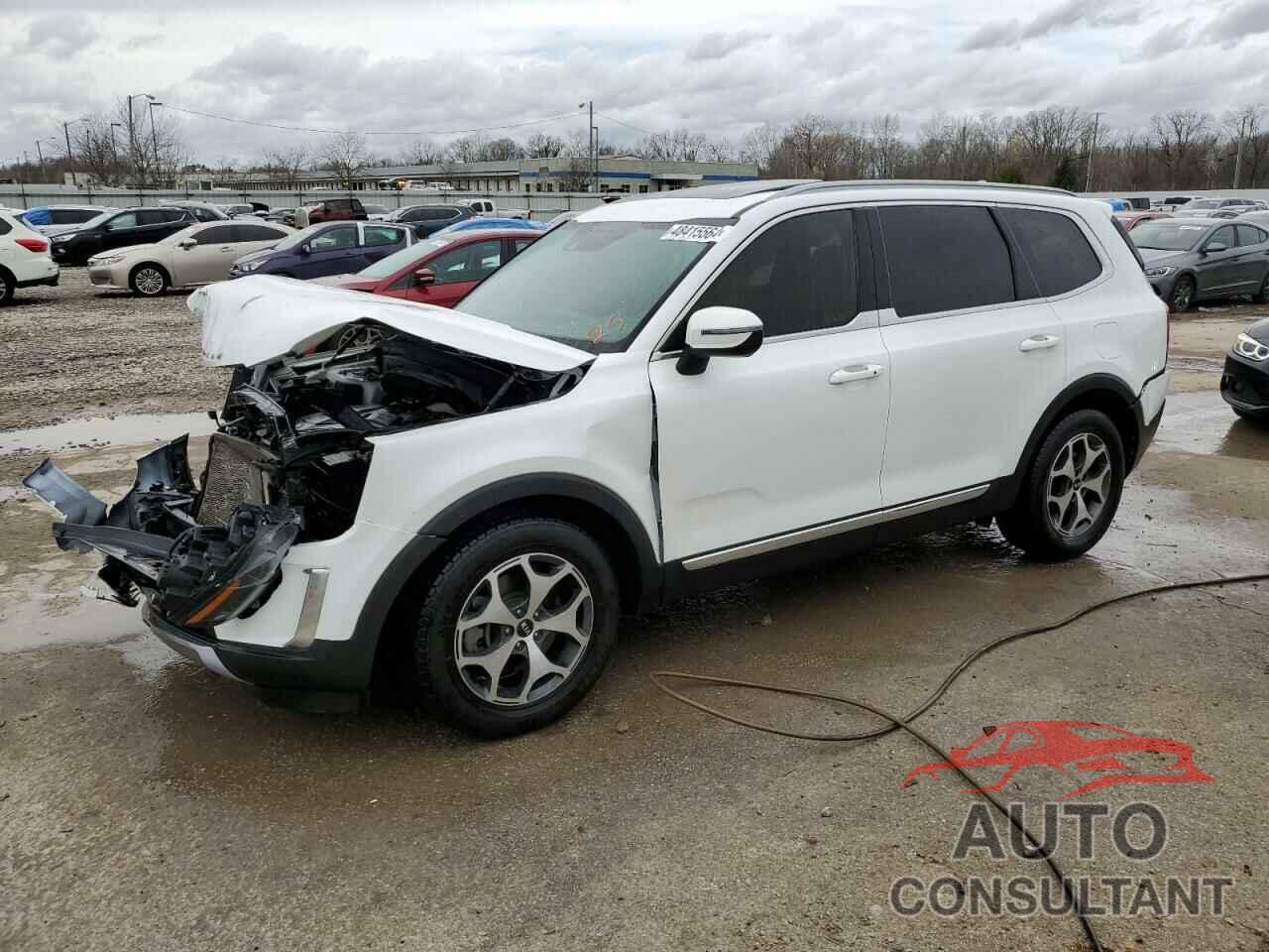 KIA TELLURIDE 2020 - 5XYP34HC2LG080928