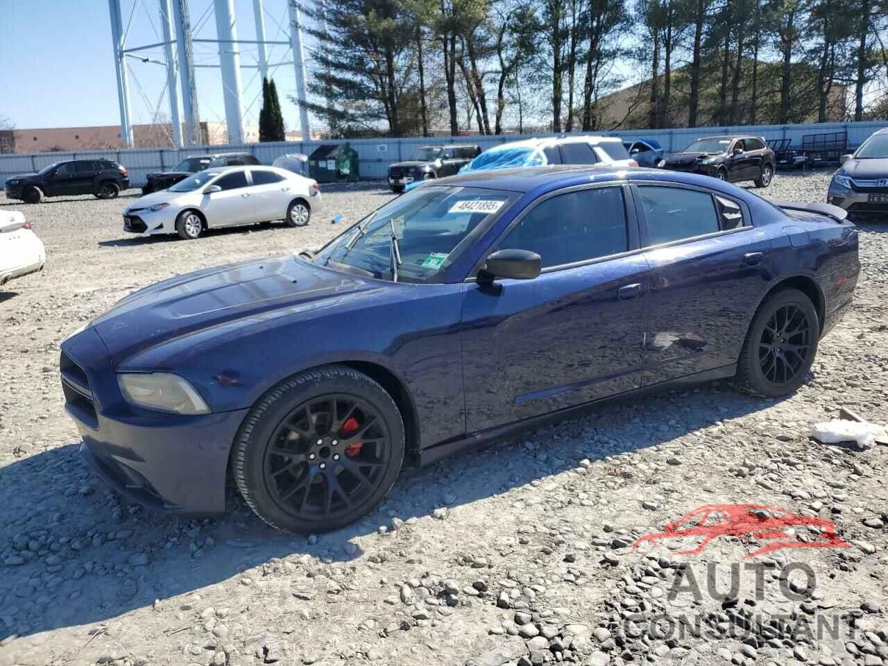DODGE CHARGER 2014 - 2C3CDXHGXEH369242