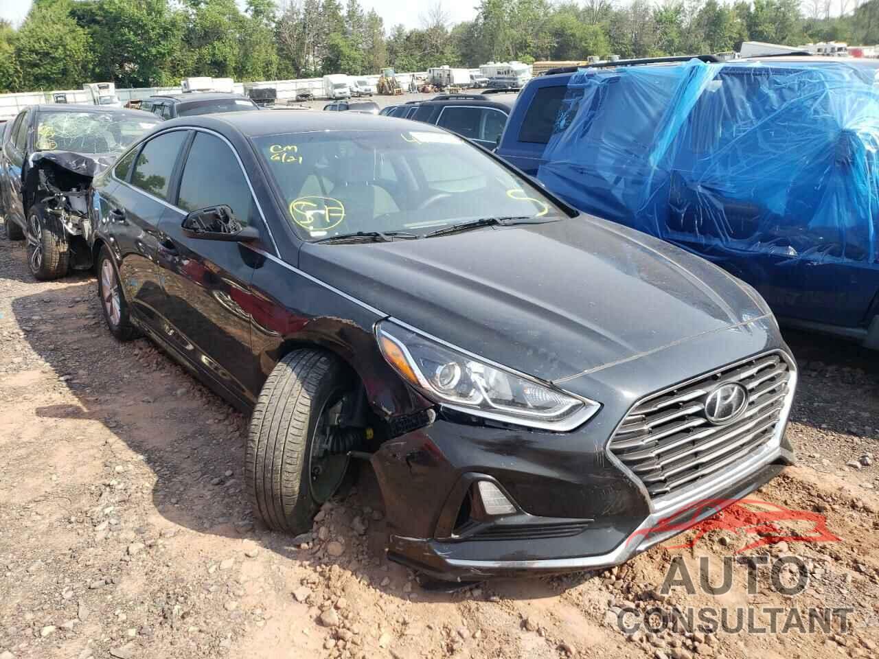 HYUNDAI SONATA 2018 - 5NPE24AF5JH607882