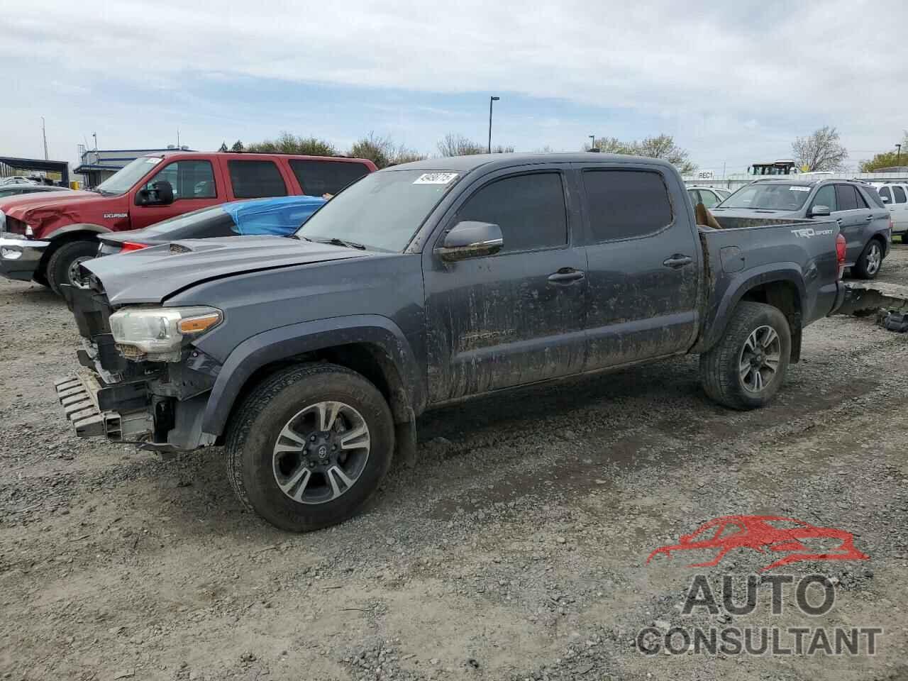 TOYOTA TACOMA 2019 - 3TMAZ5CN9KM090828
