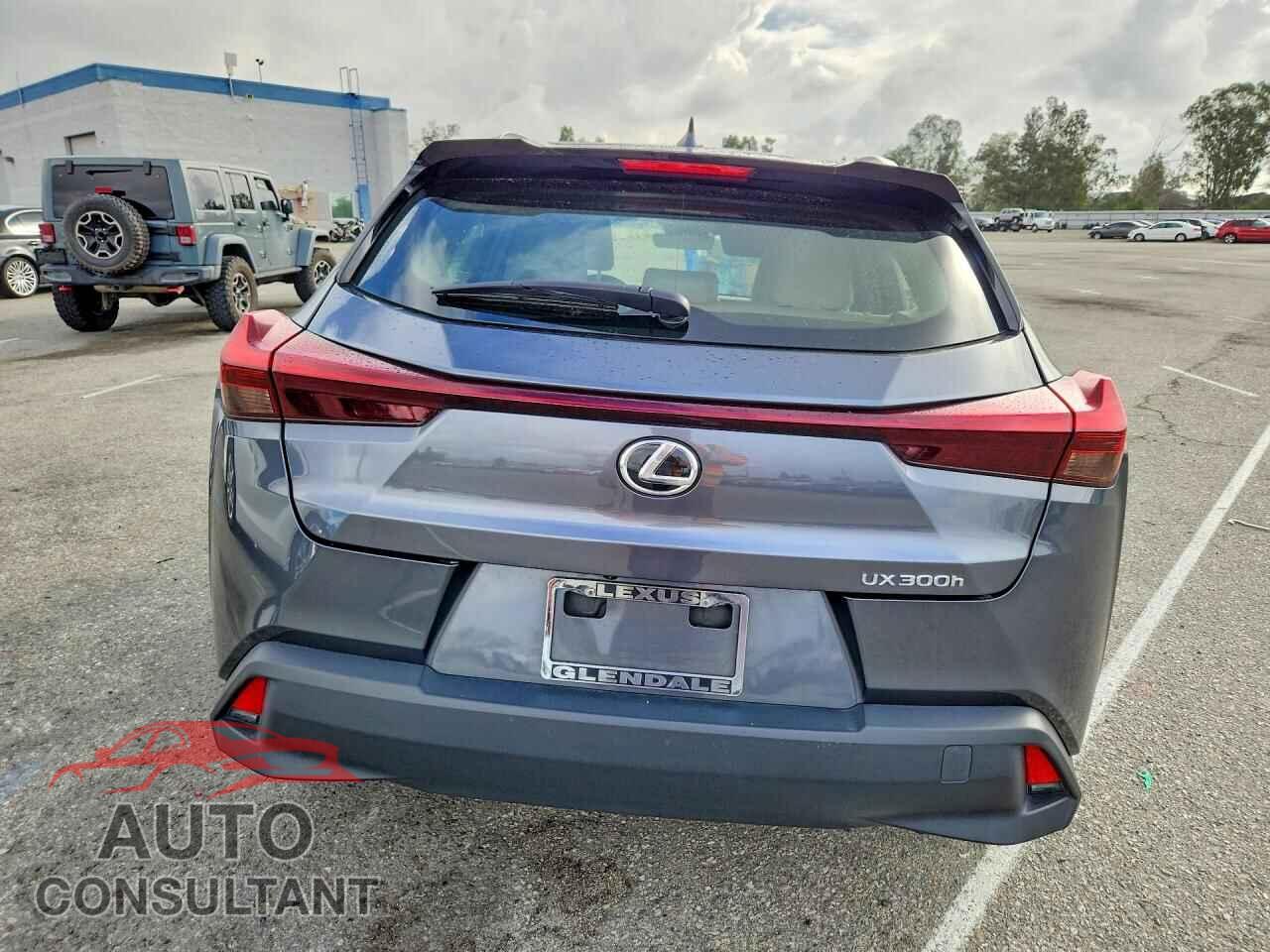 LEXUS UNKNOWN 2025 - JTHYBJAH8S2009607