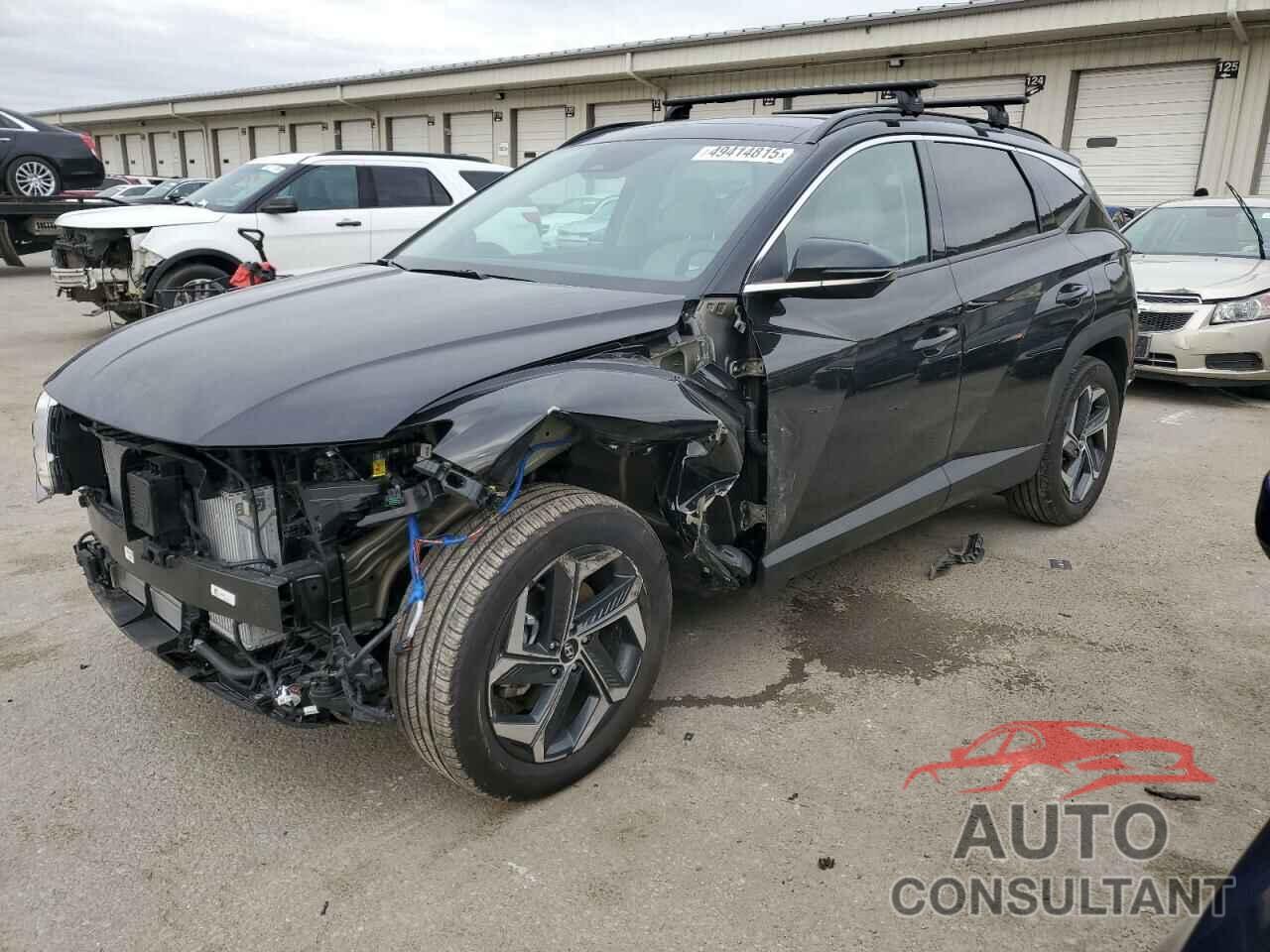 HYUNDAI TUCSON 2024 - KM8JECD10RU234019
