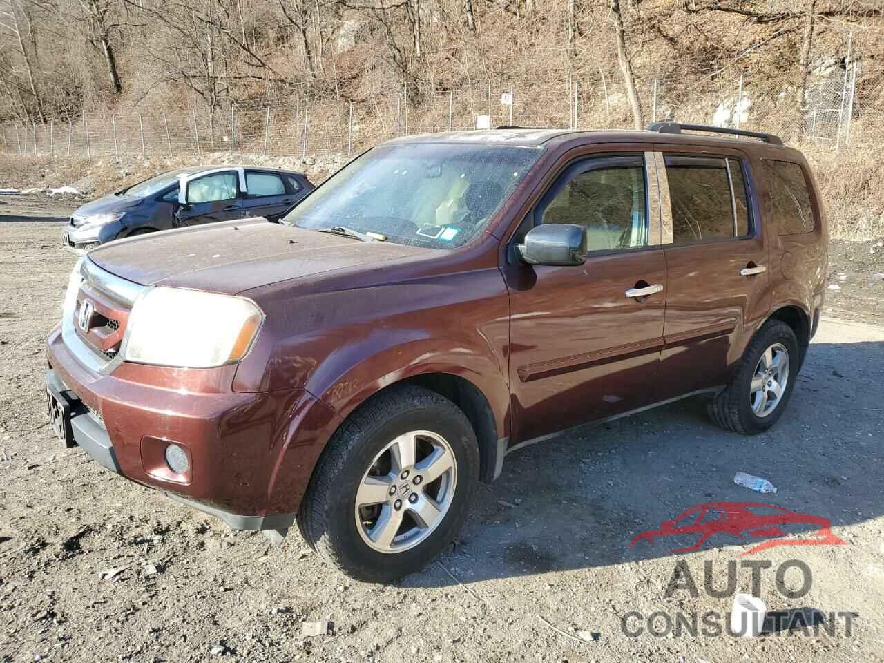 HONDA PILOT 2009 - 5FNYF48499B011271