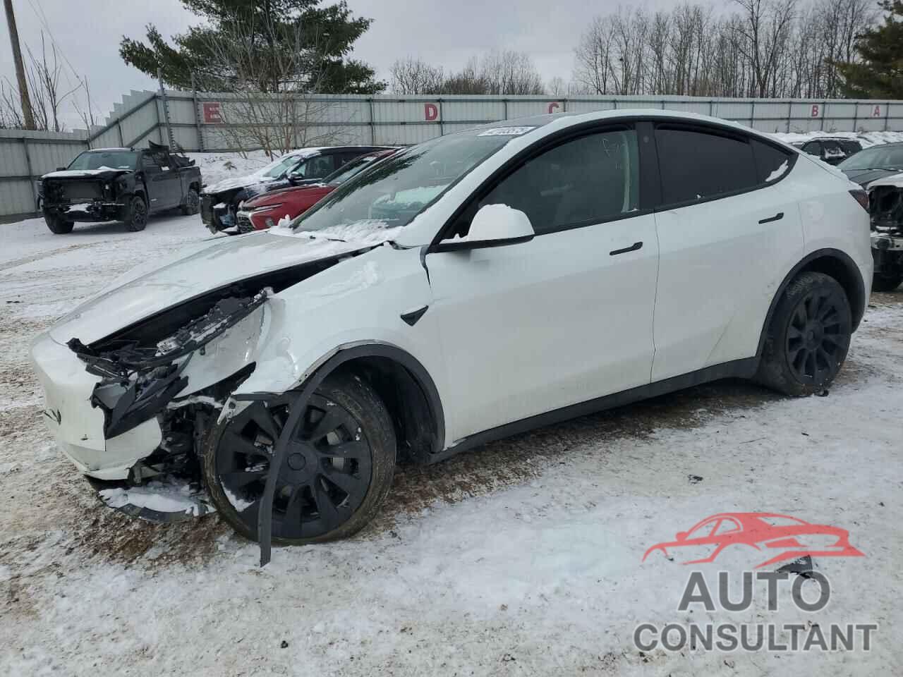 TESLA MODEL Y 2023 - 7SAYGDEE0PF676103