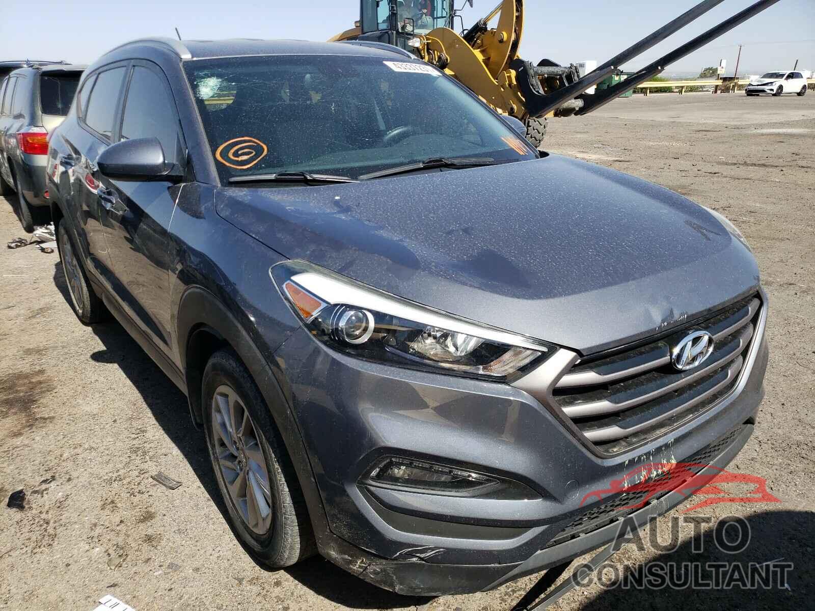 HYUNDAI TUCSON 2016 - KM8J33A44GU203860