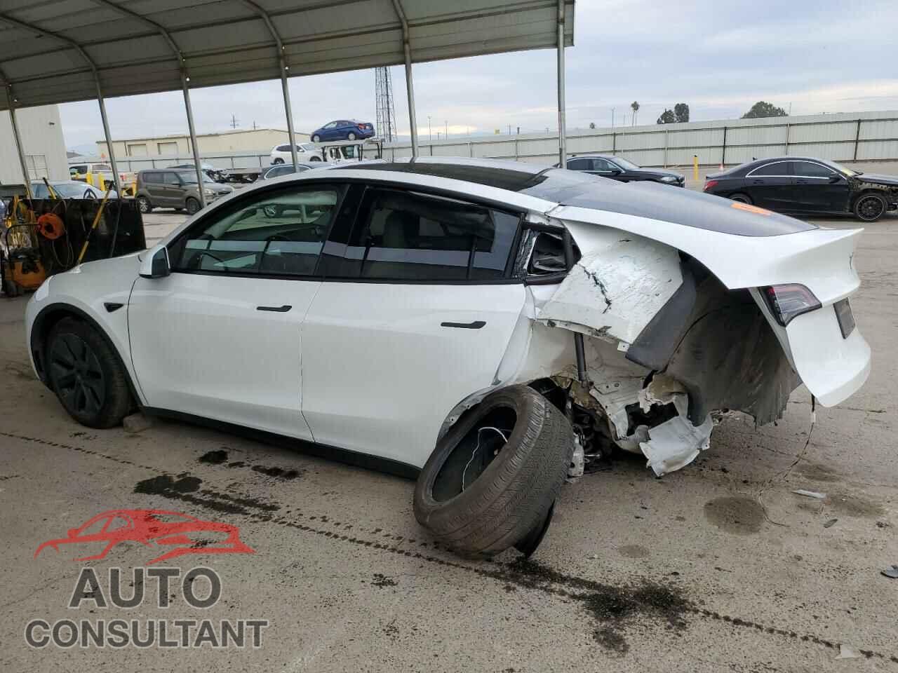 TESLA MODEL Y 2024 - 7SAYGDED2RF155992