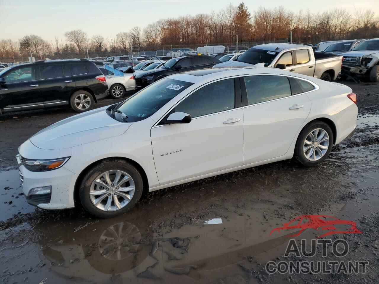 CHEVROLET MALIBU 2024 - 1G1ZD5ST5RF229695