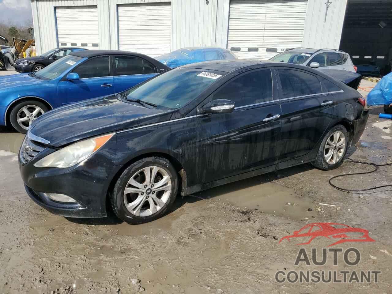 HYUNDAI SONATA 2011 - 5NPEC4AC5BH093813
