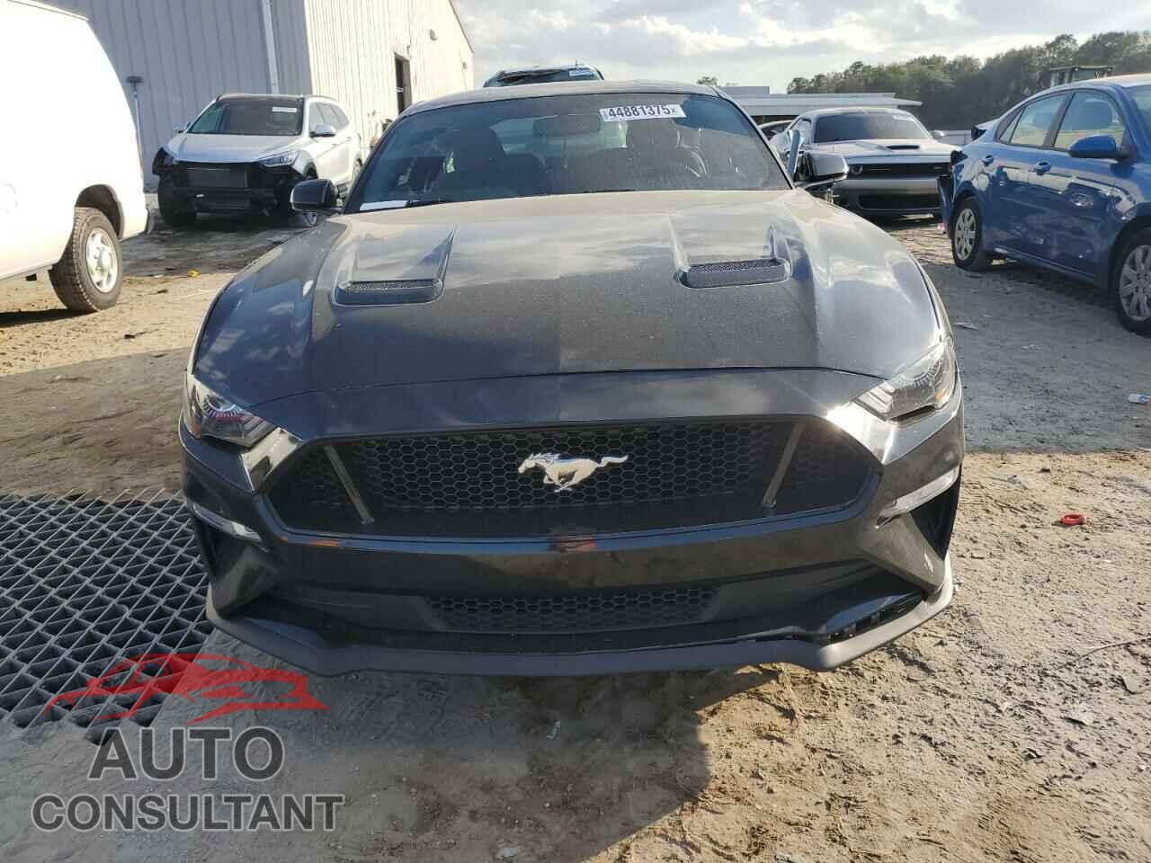FORD MUSTANG 2019 - 1FA6P8CF2K5116669