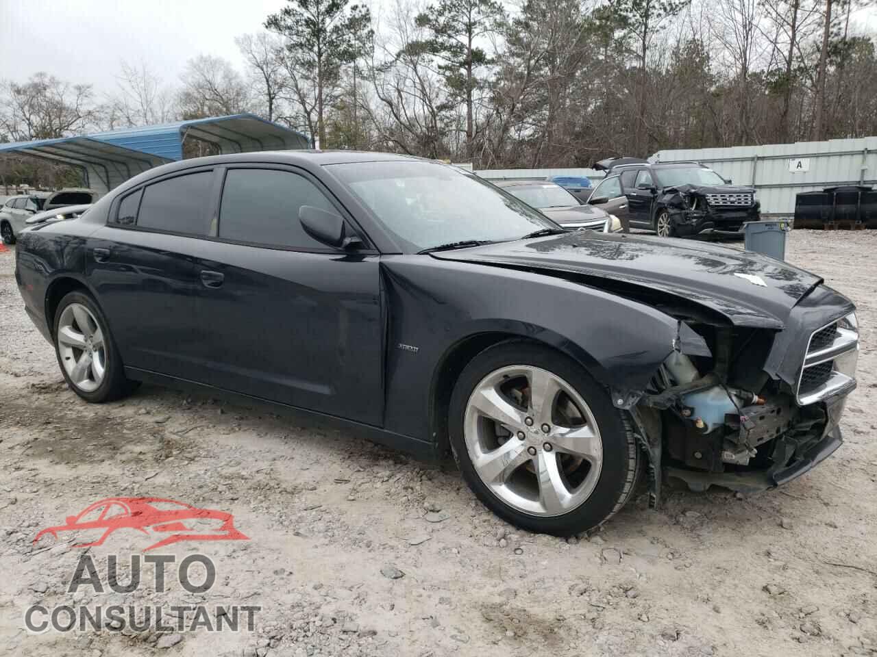 DODGE CHARGER 2014 - 2C3CDXCT2EH227231