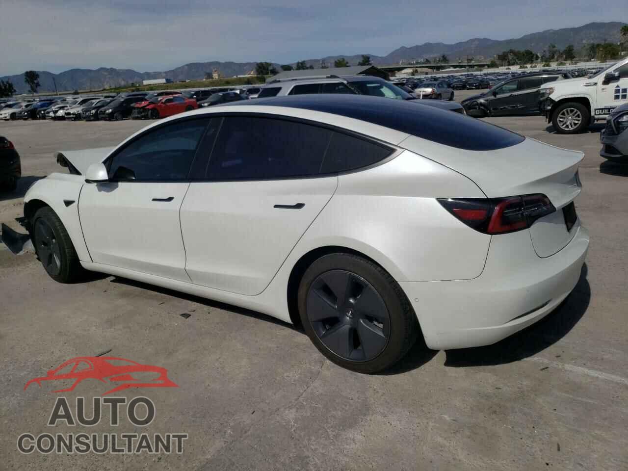 TESLA MODEL 3 2021 - 5YJ3E1EA2MF066059