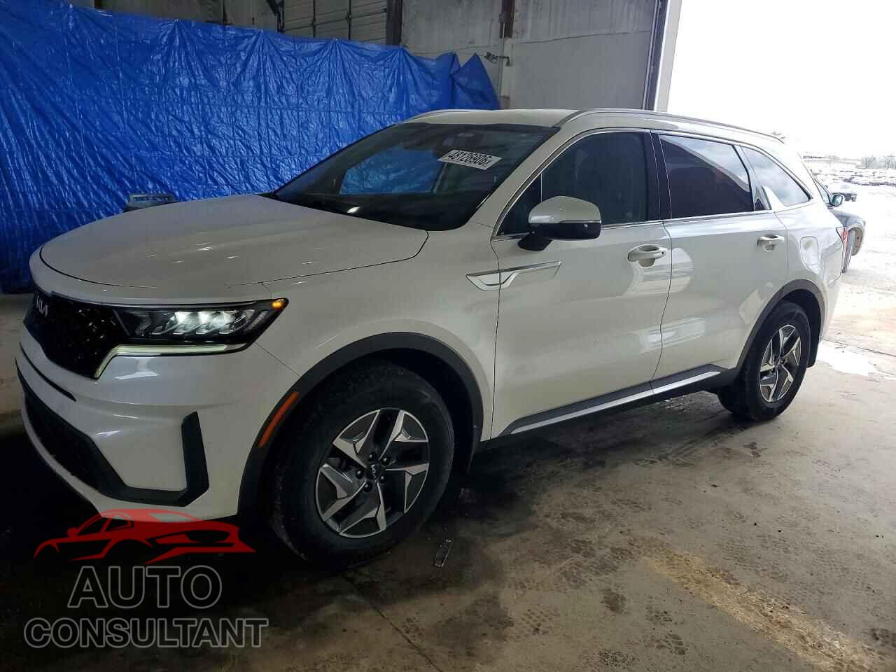 KIA SORENTO 2022 - KNDRG4LG3N5090984