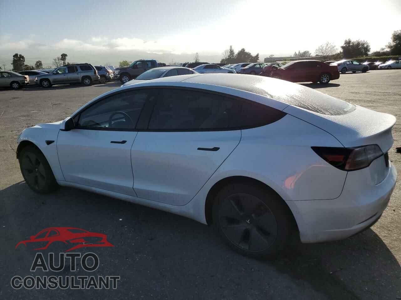 TESLA MODEL 3 2022 - 5YJ3E1EA9NF245345