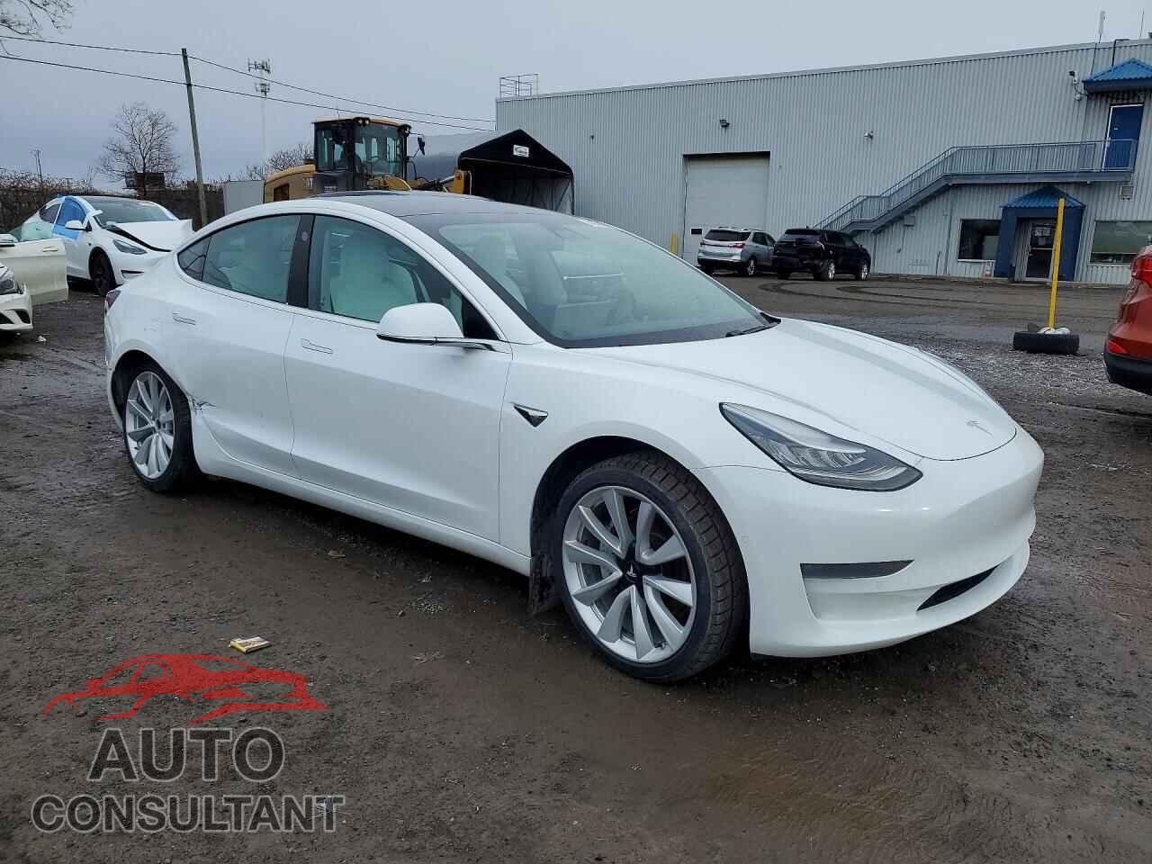 TESLA MODEL 3 2019 - 5YJ3E1EA2KF419462