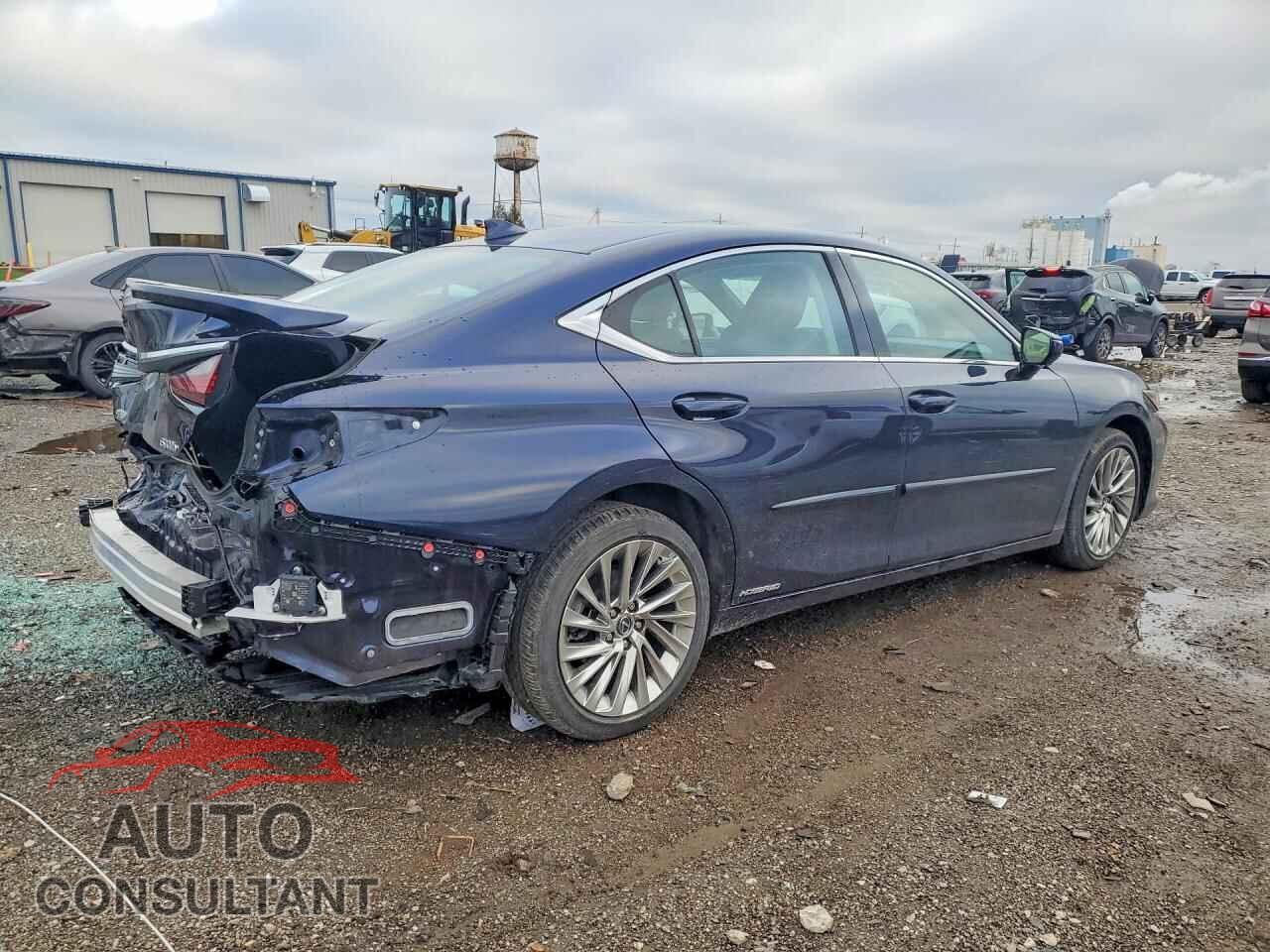 LEXUS ES300 2022 - 58AEA1C19NU021009