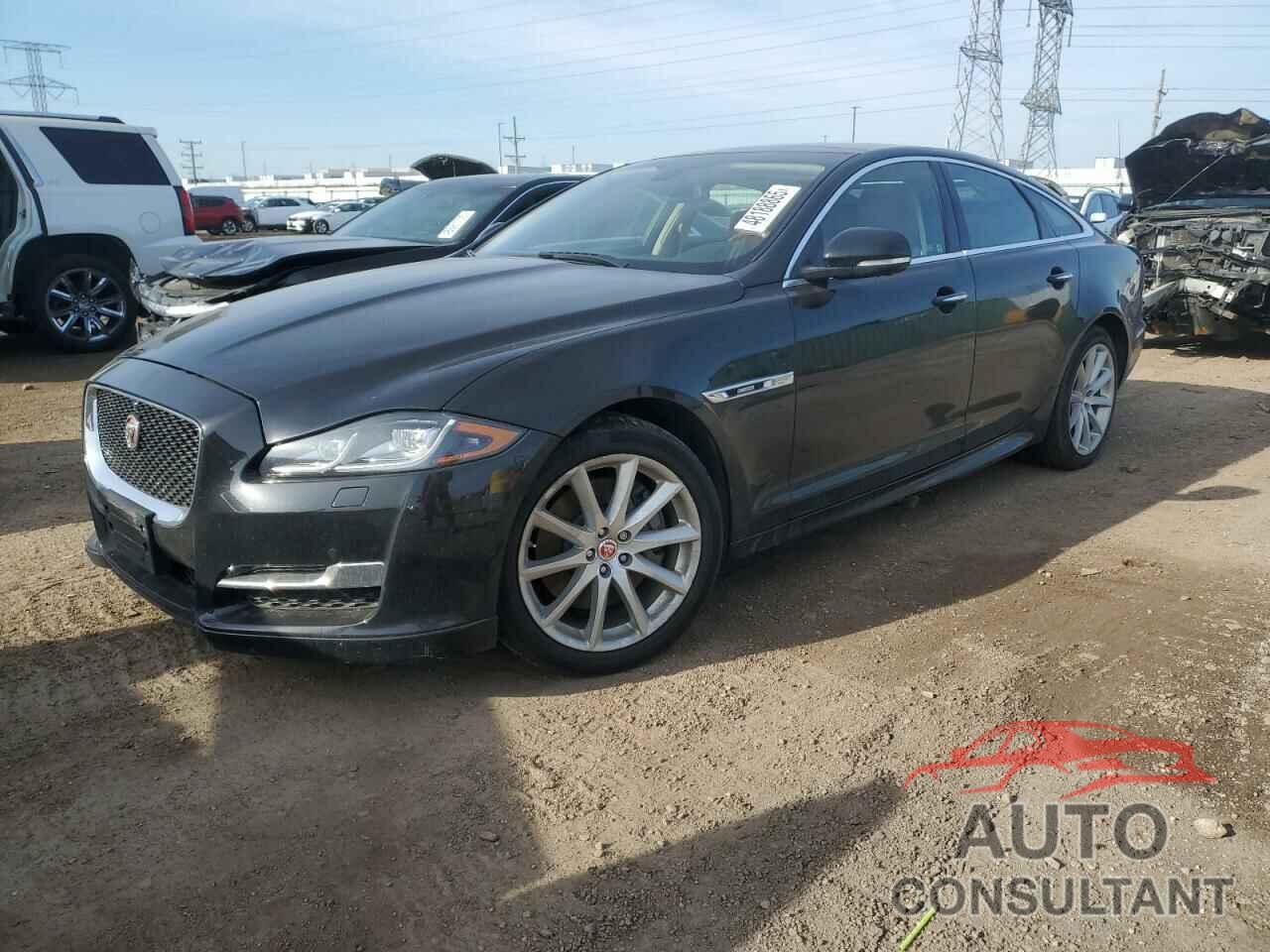 JAGUAR XJ 2016 - SAJWJ1CDXG8W03448