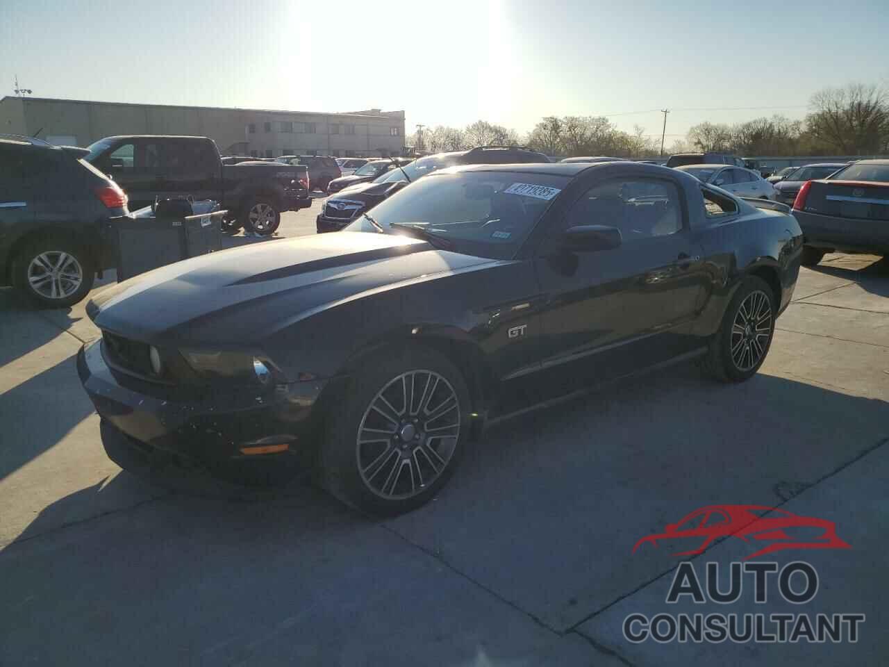 FORD MUSTANG 2010 - 1ZVBP8CH9A5154485