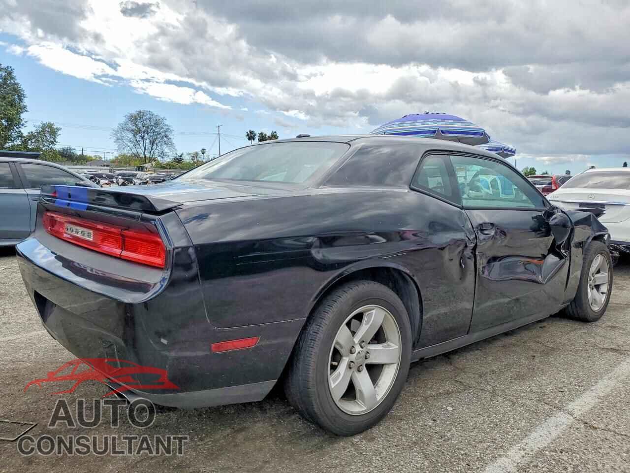 DODGE CHALLENGER 2012 - 2C3CDYBT7CH246491