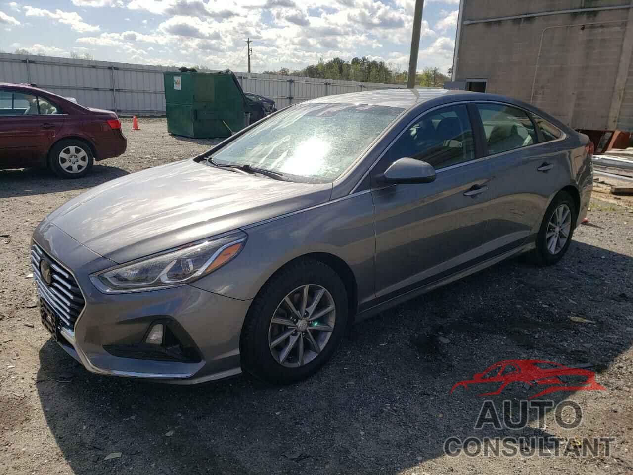 HYUNDAI SONATA 2019 - 5NPE24AF7KH736837
