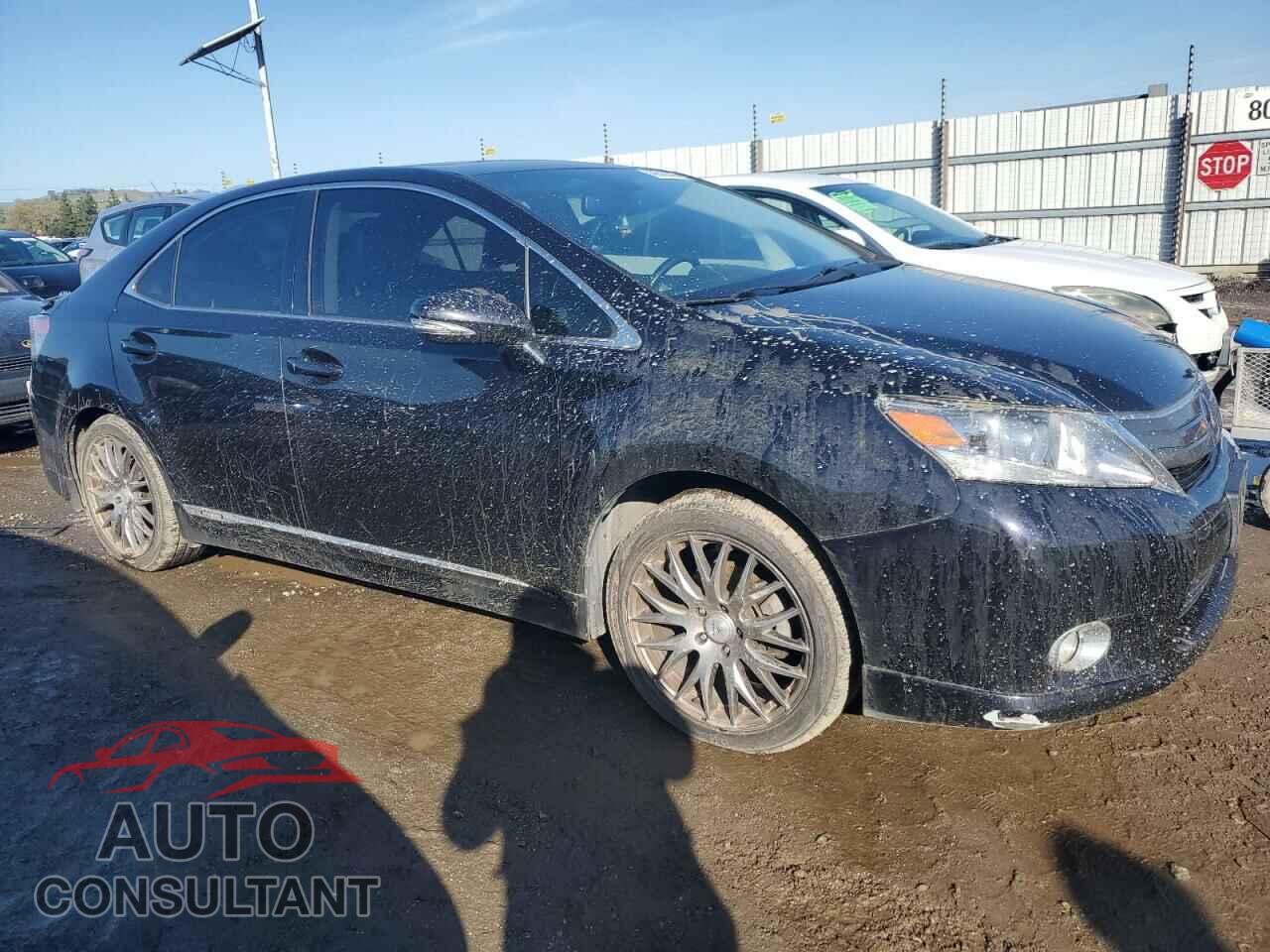 LEXUS HS 2010 - JTHBB1BAXA2015706