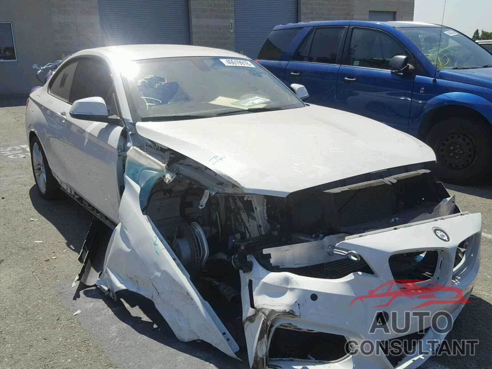 BMW 228 I 2016 - WBA1F9C58GV545629