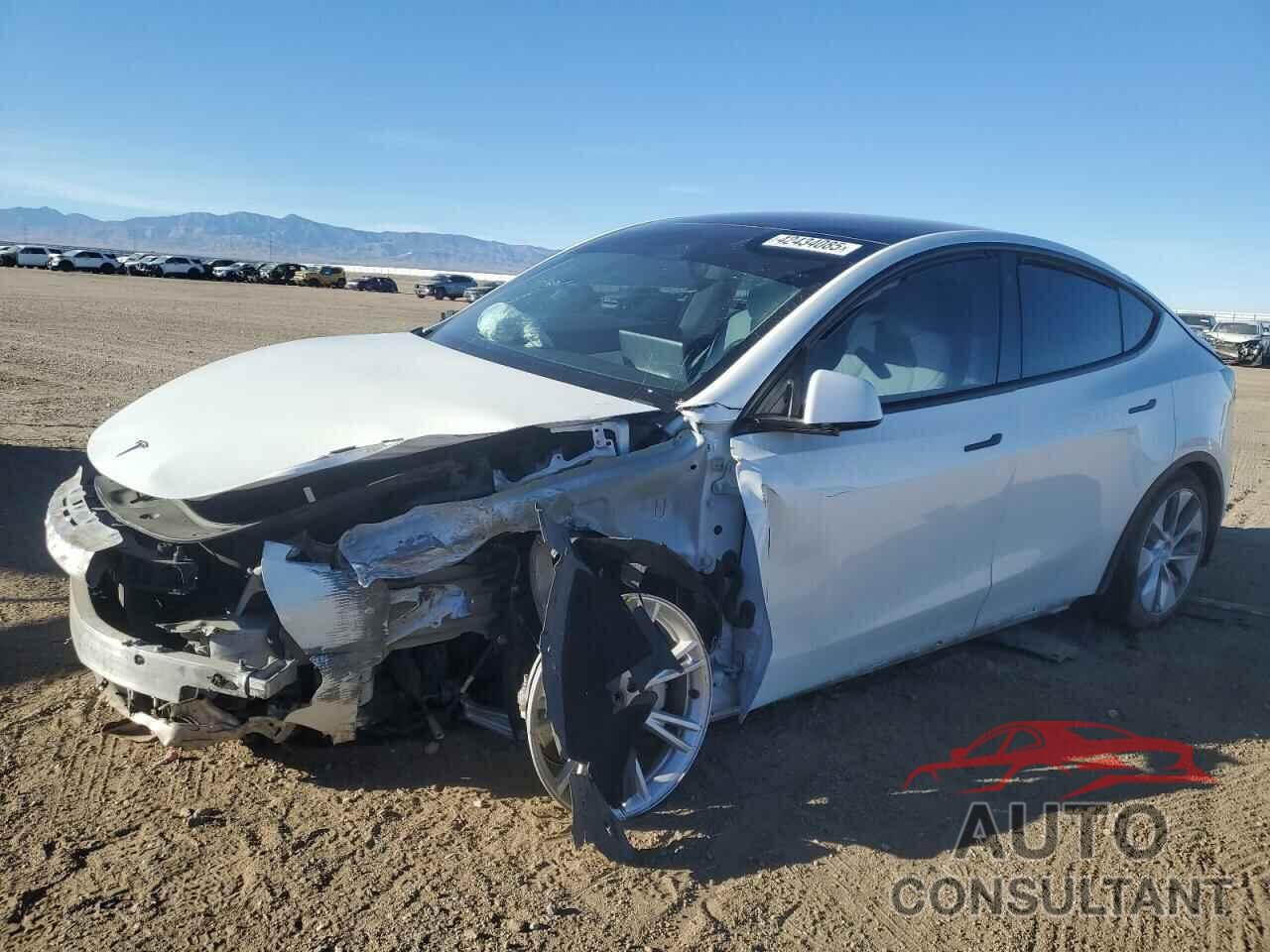TESLA MODEL Y 2021 - 5YJYGDEE4MF276117