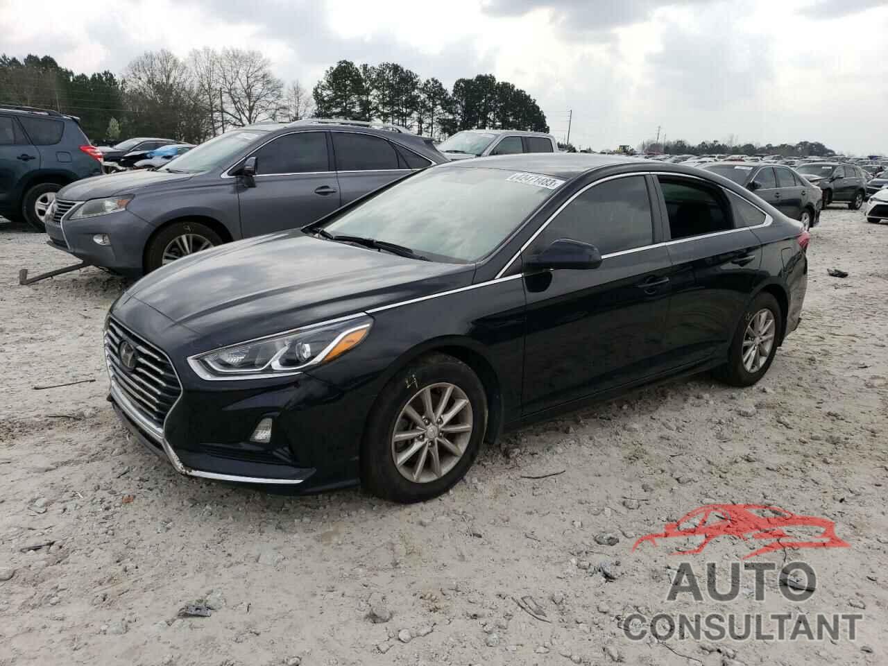 HYUNDAI SONATA 2019 - 5NPE24AF9KH740226