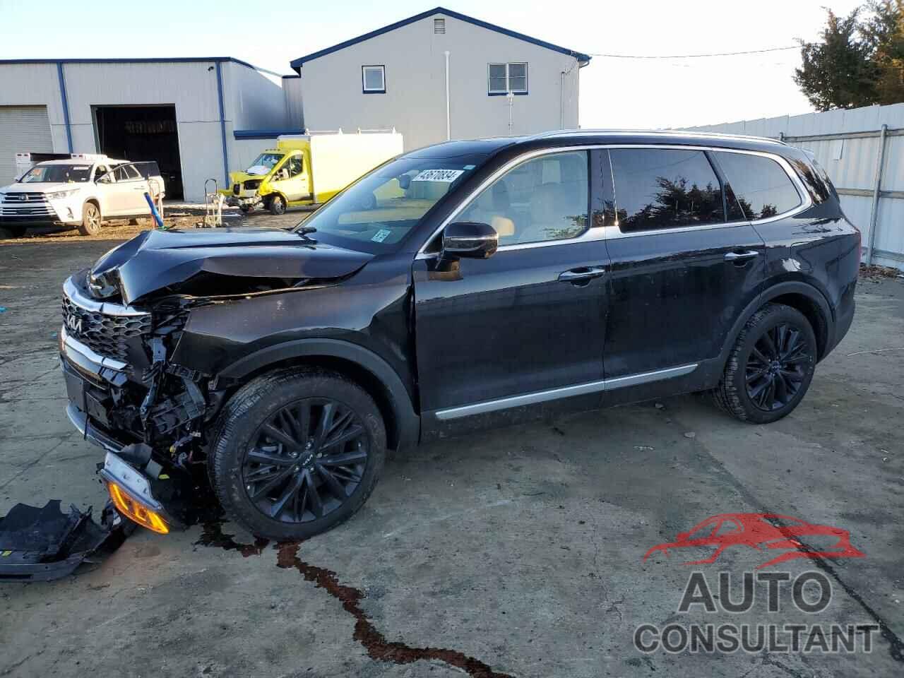 KIA TELLURIDE 2022 - 5XYP54HC7NG281253