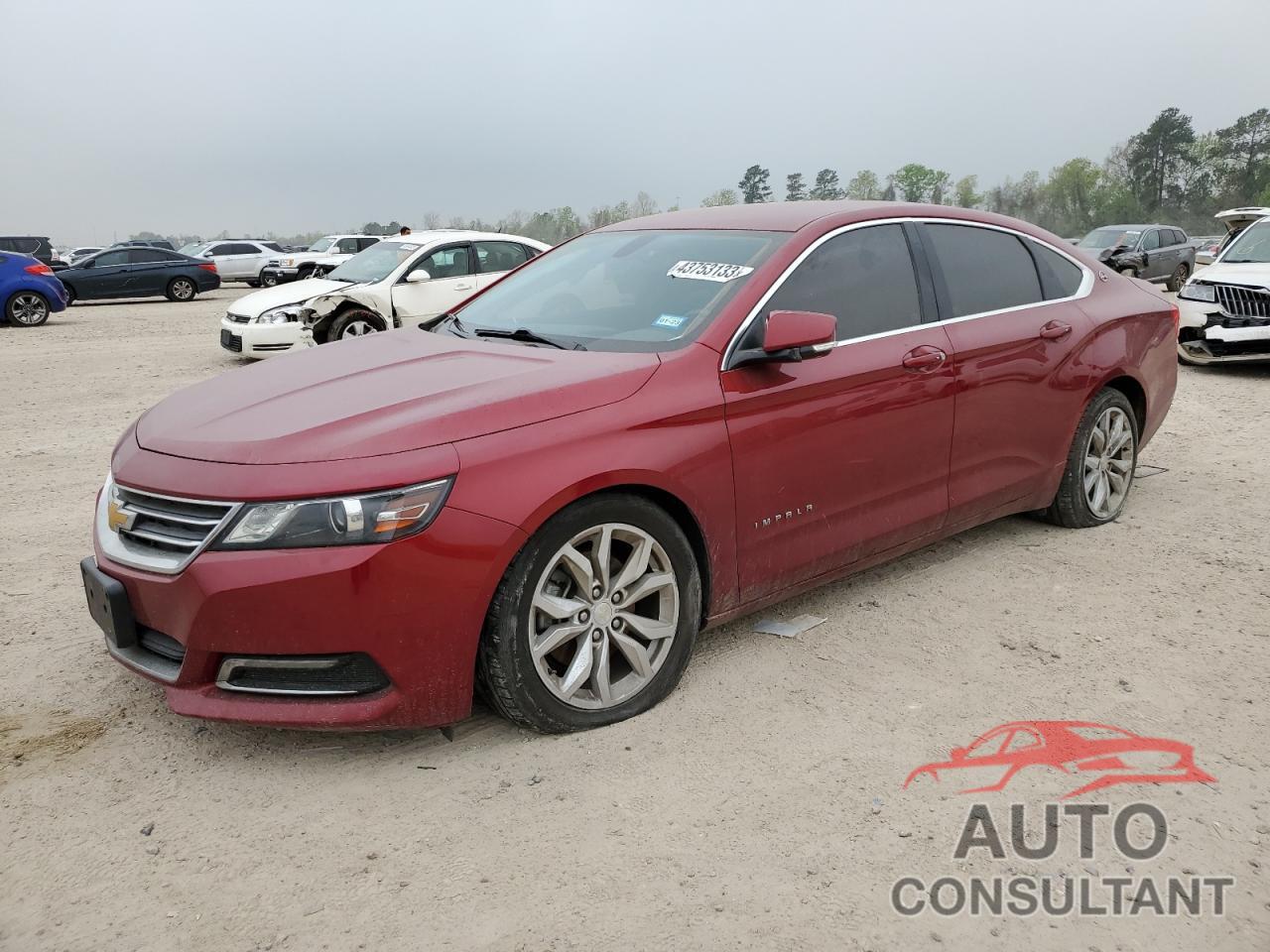 CHEVROLET IMPALA 2019 - 1G11Z5SA6KU125568