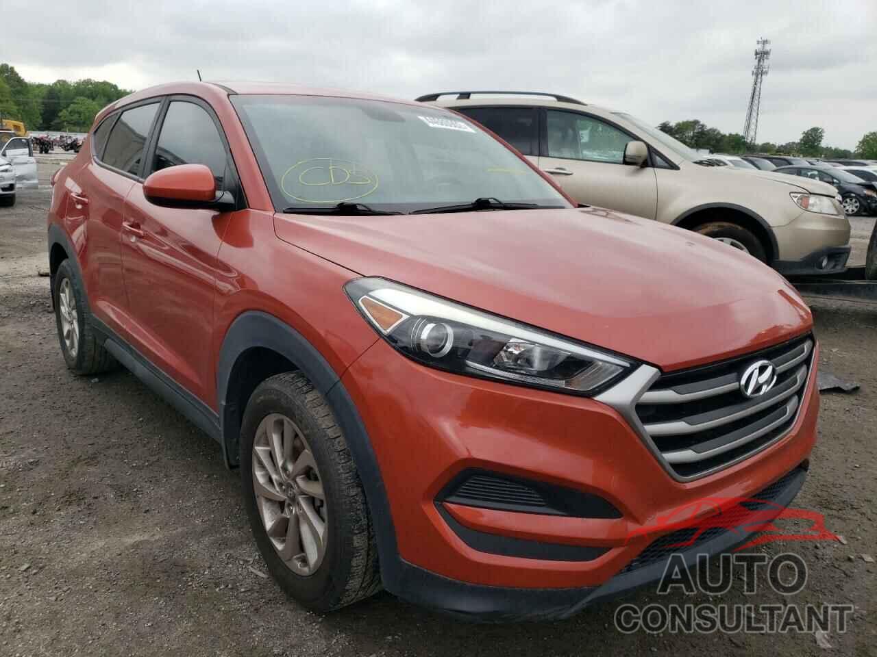 HYUNDAI TUCSON 2017 - KM8J23A41HU254415