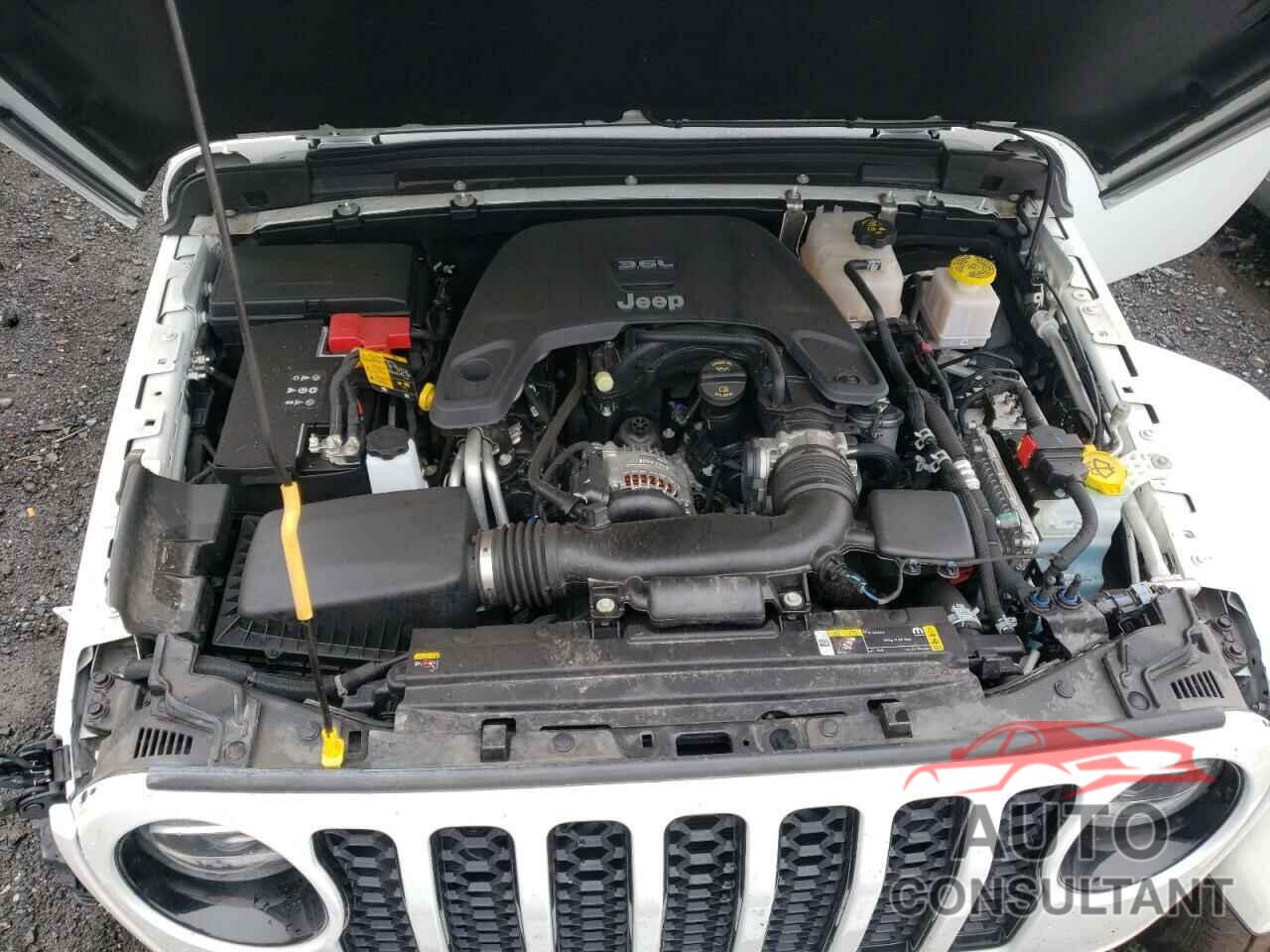 JEEP ALL OTHER 2021 - 1C6HJTFG5ML566446