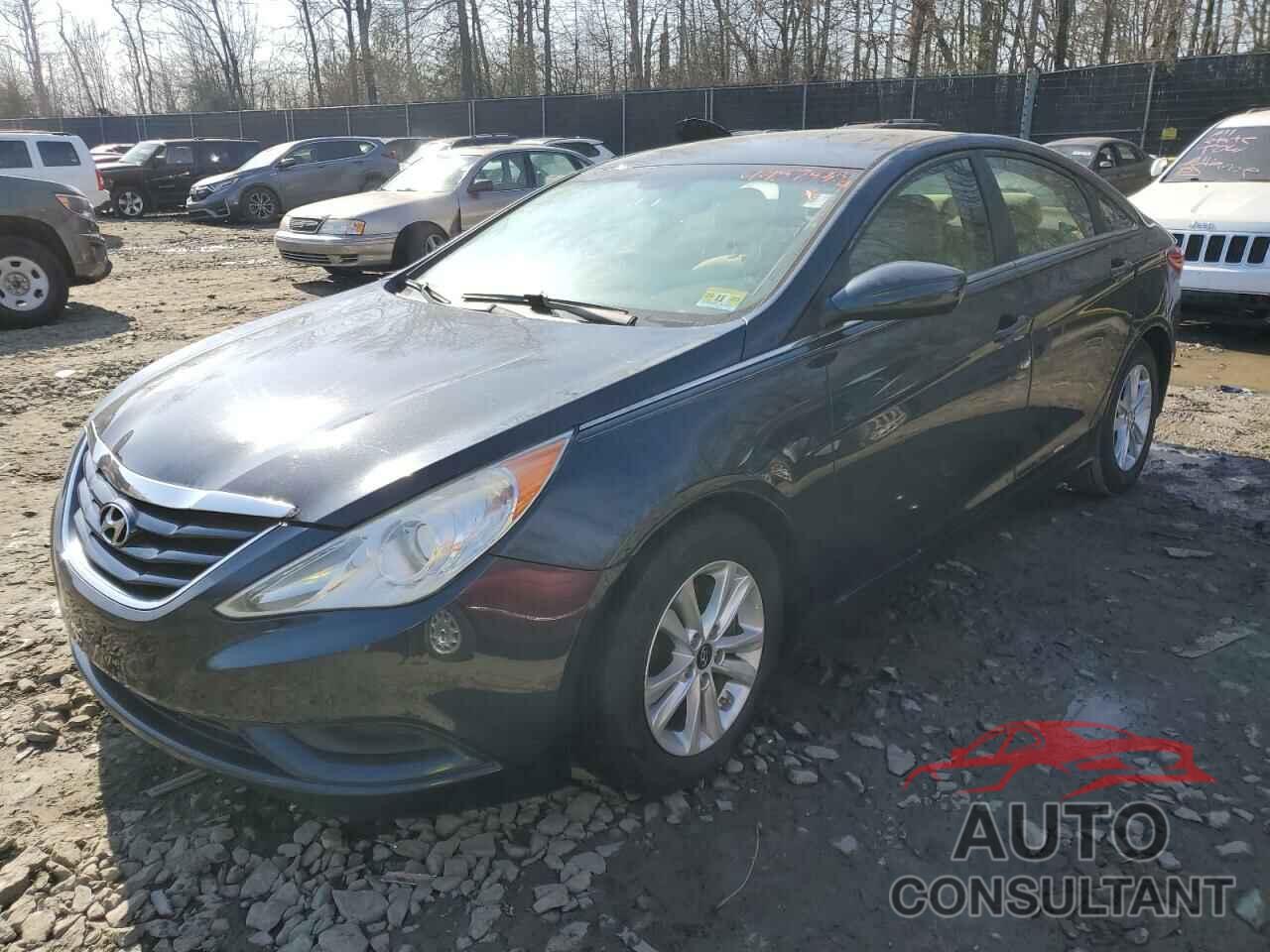 HYUNDAI SONATA 2013 - 5NPEB4AC3DH642057