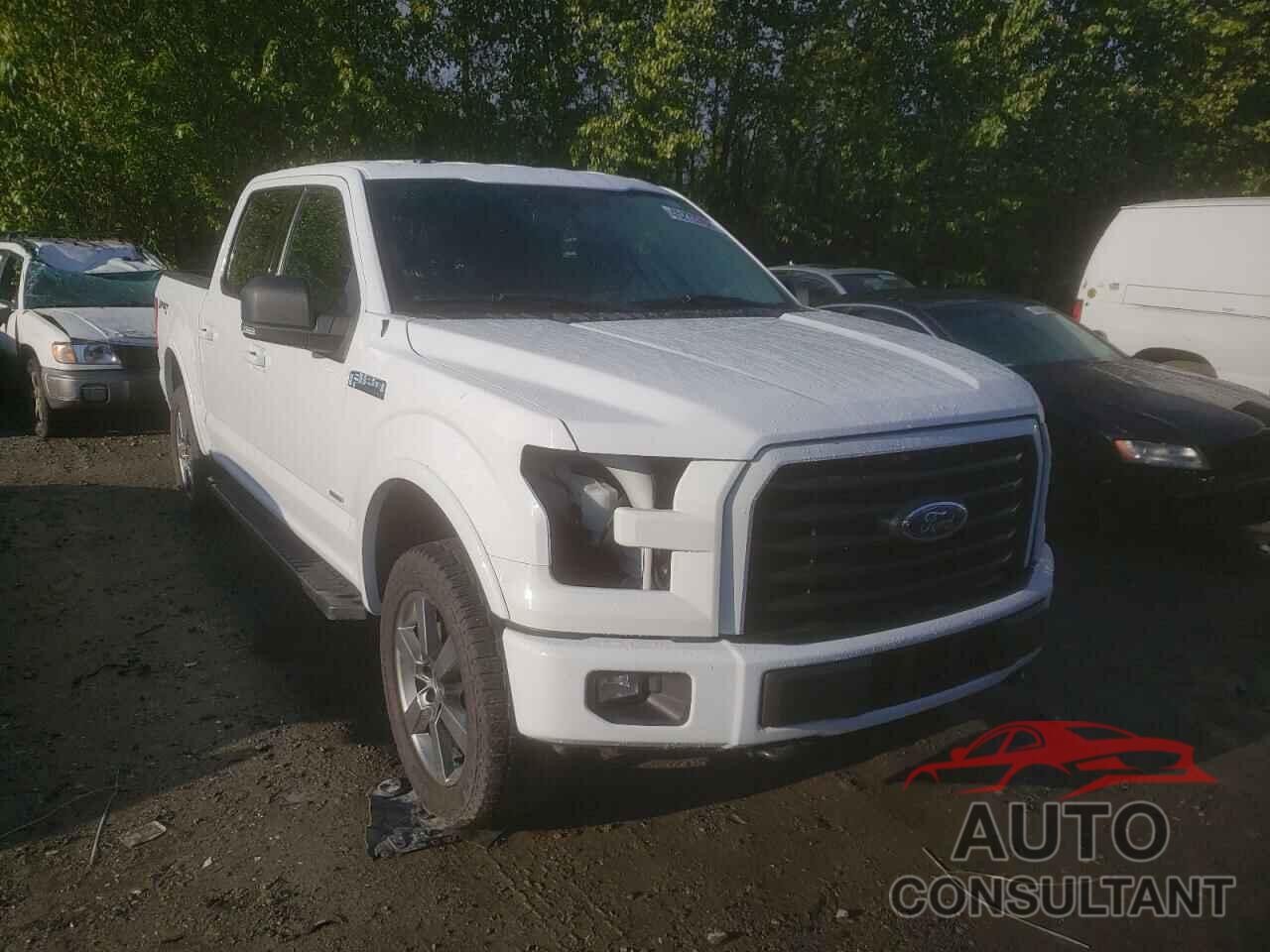 FORD F-150 2017 - 1FTEW1EG1HKD13736