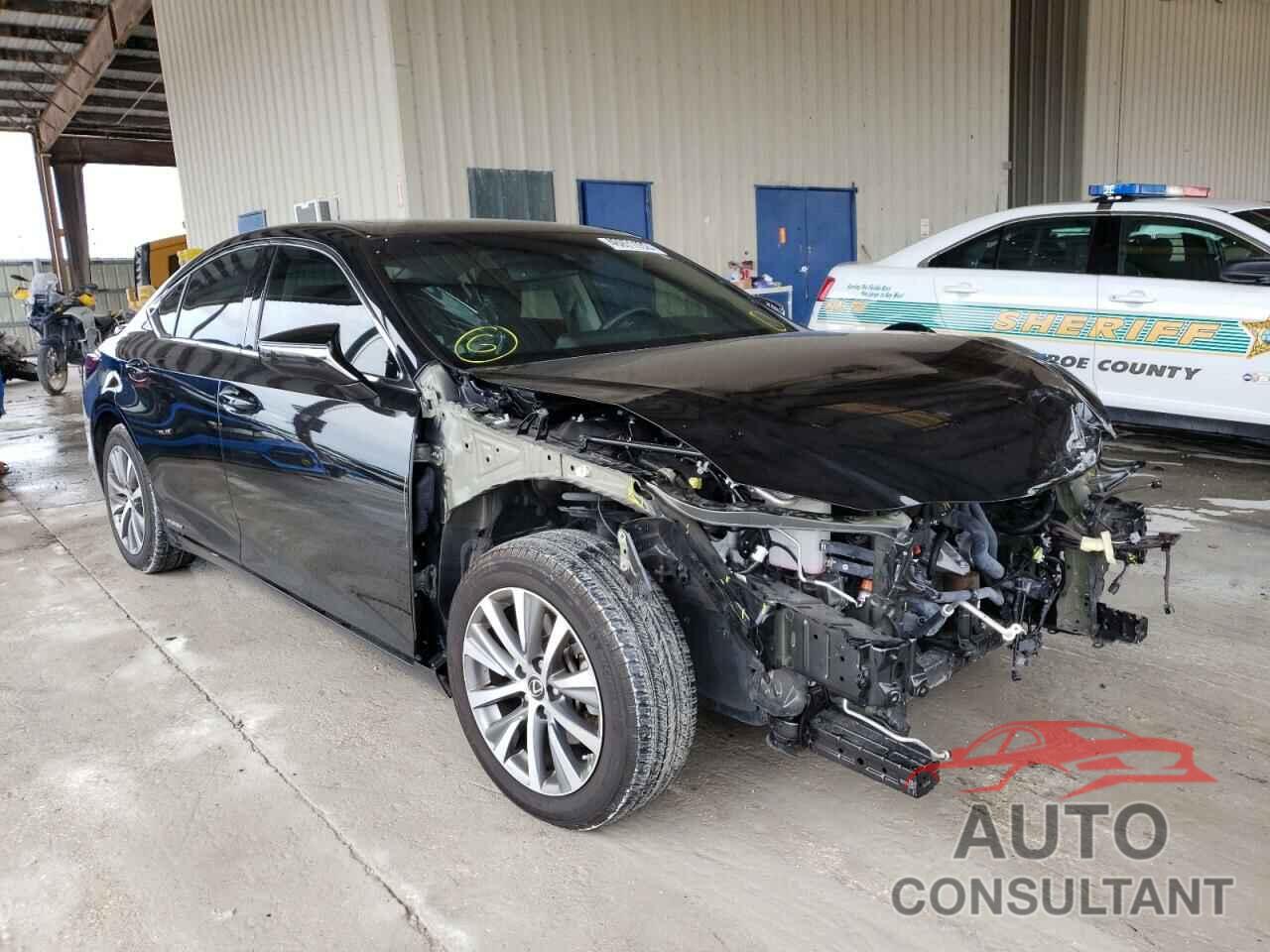 LEXUS ES300 2020 - 58AD21B12LU012319