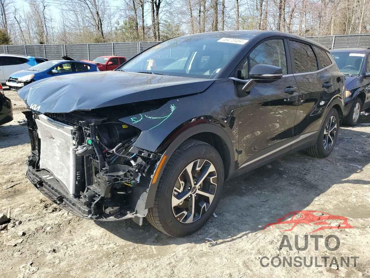 KIA SPORTAGE 2024 - 5XYK33DF6RG178499