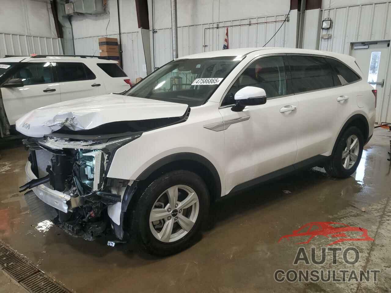 KIA SORENTO 2025 - 5XYRG4JC0SG311279