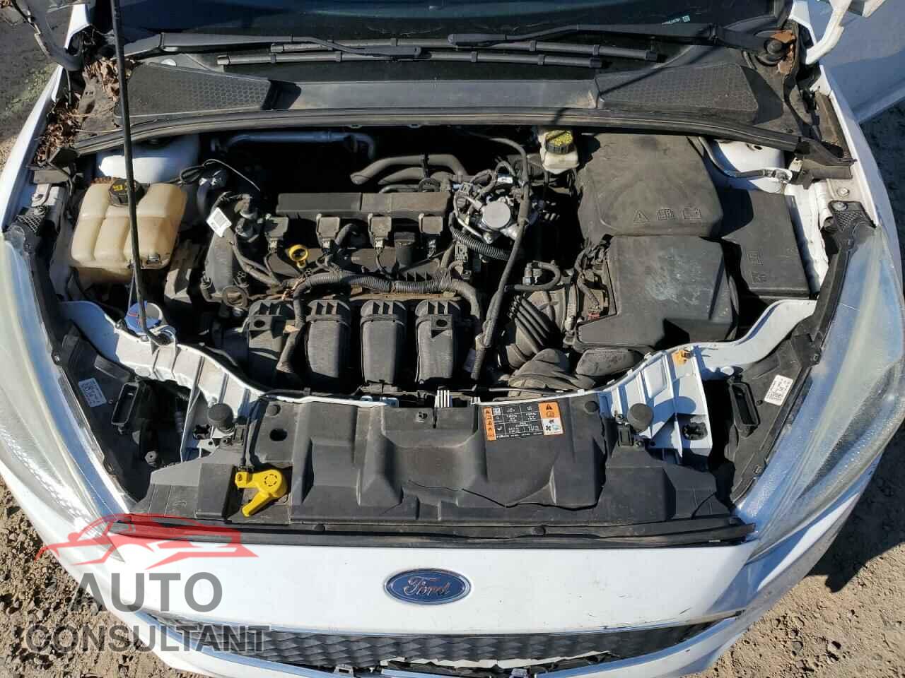 FORD FOCUS 2017 - 1FADP3F26HL241701
