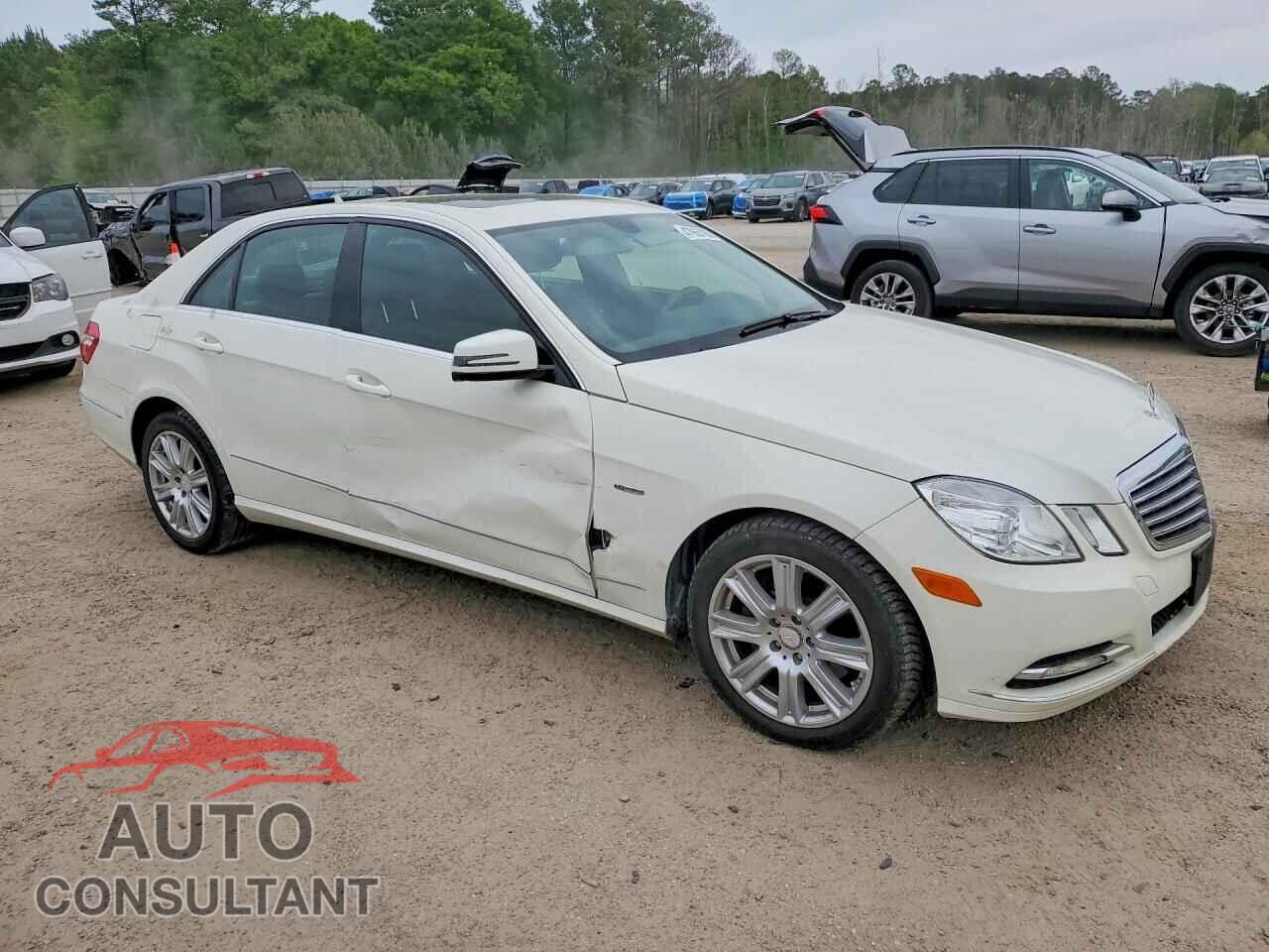 MERCEDES-BENZ E-CLASS 2012 - WDDHF2EB6CA549522