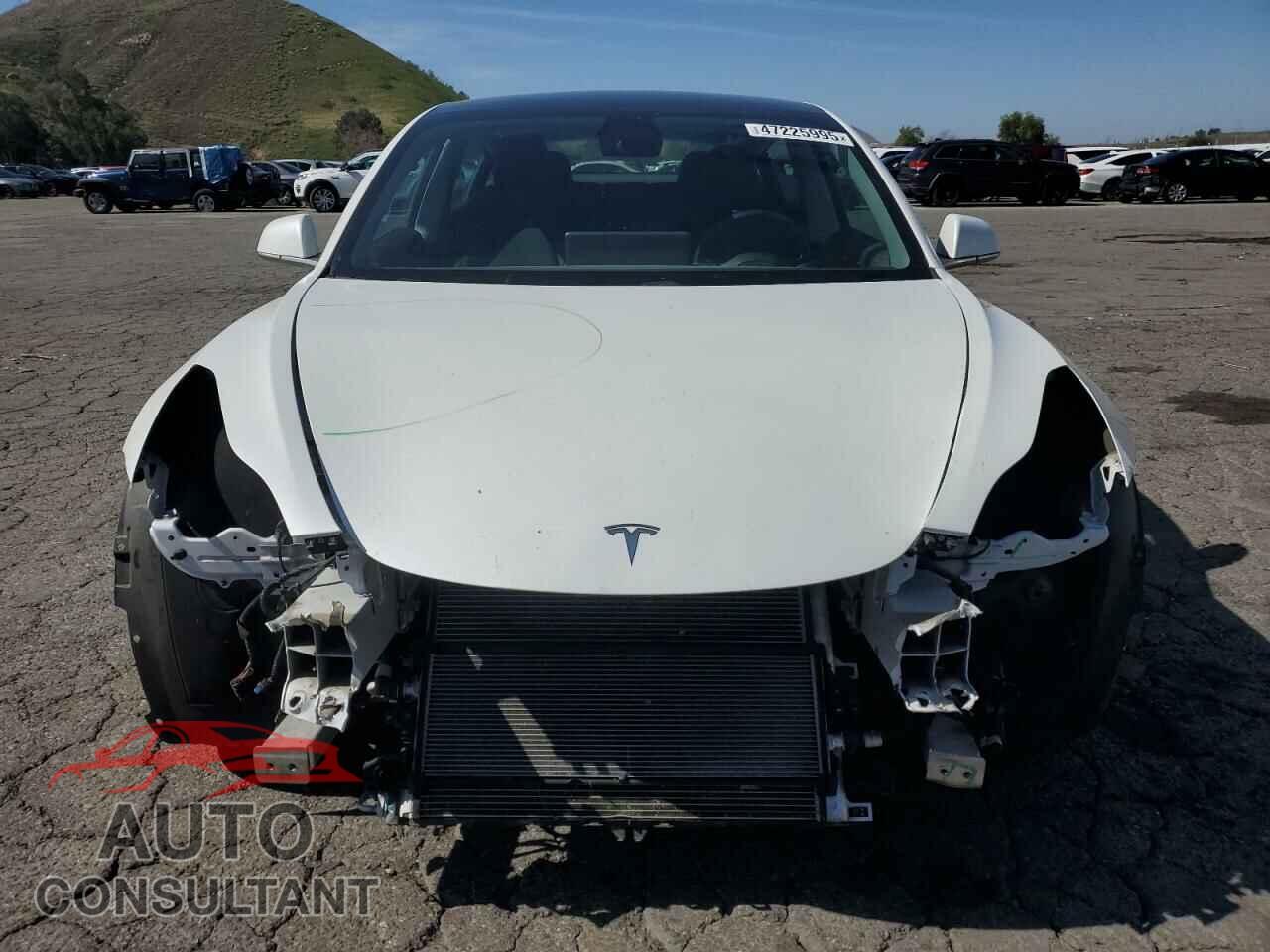 TESLA MODEL 3 2019 - 5YJ3E1EB9KF436963