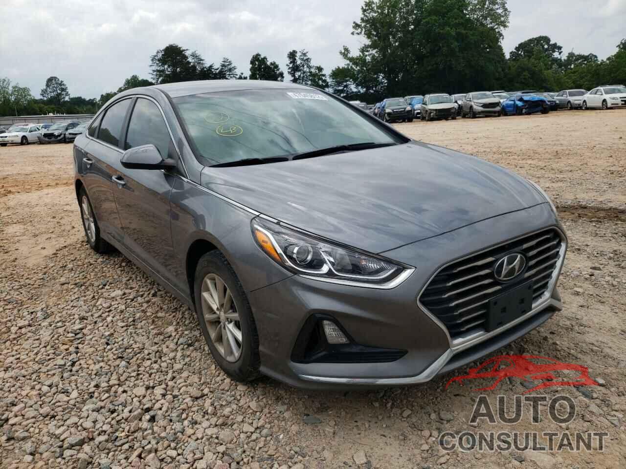 HYUNDAI SONATA 2019 - 5NPE24AF1KH791624
