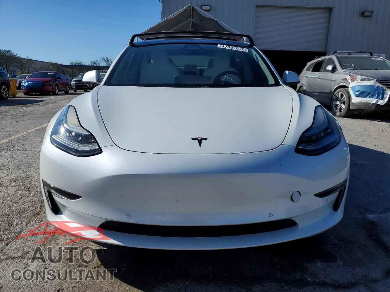 TESLA MODEL 3 2019 - 5YJ3E1EA3KF302019